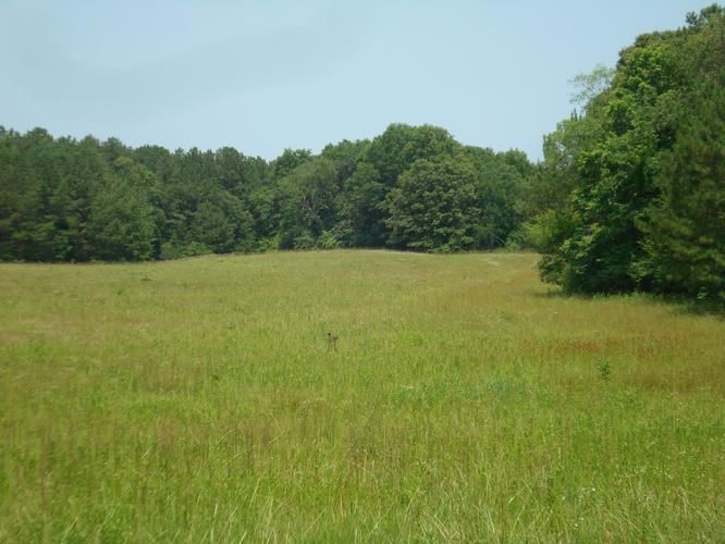 249 acres in Calhoun County, Alabama