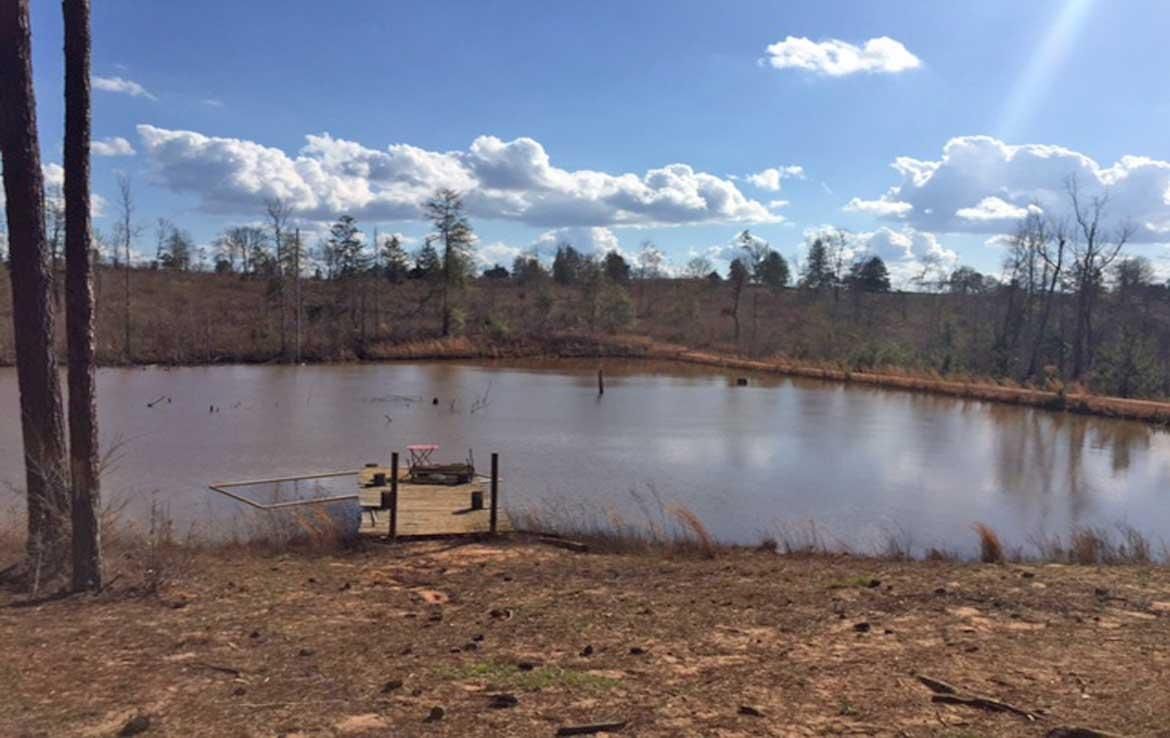 113.00 acres in Crenshaw County, Alabama