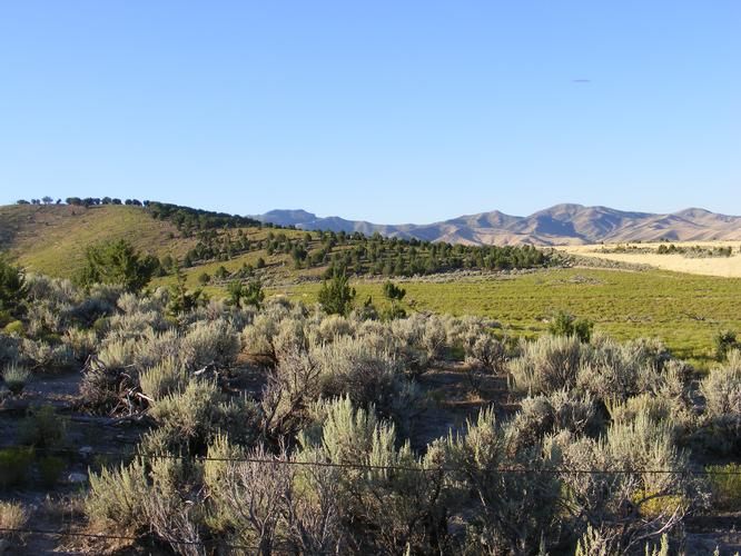 81.84 acres in Millard County, Utah