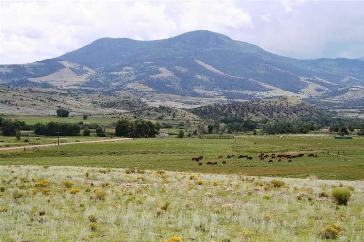 146.00 acres in Rio Grande County, Colorado