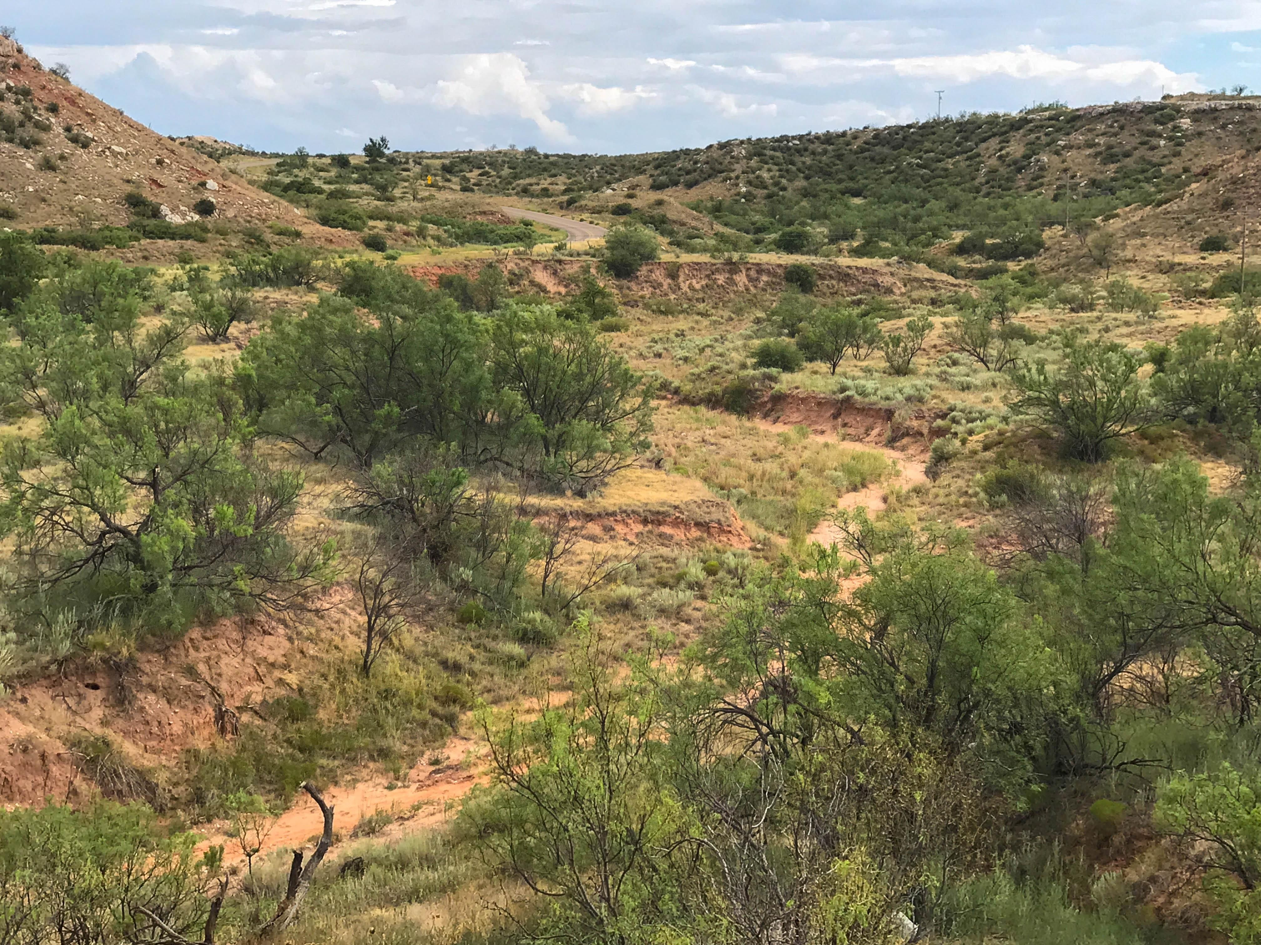 120 acres in Hutchinson County, Texas