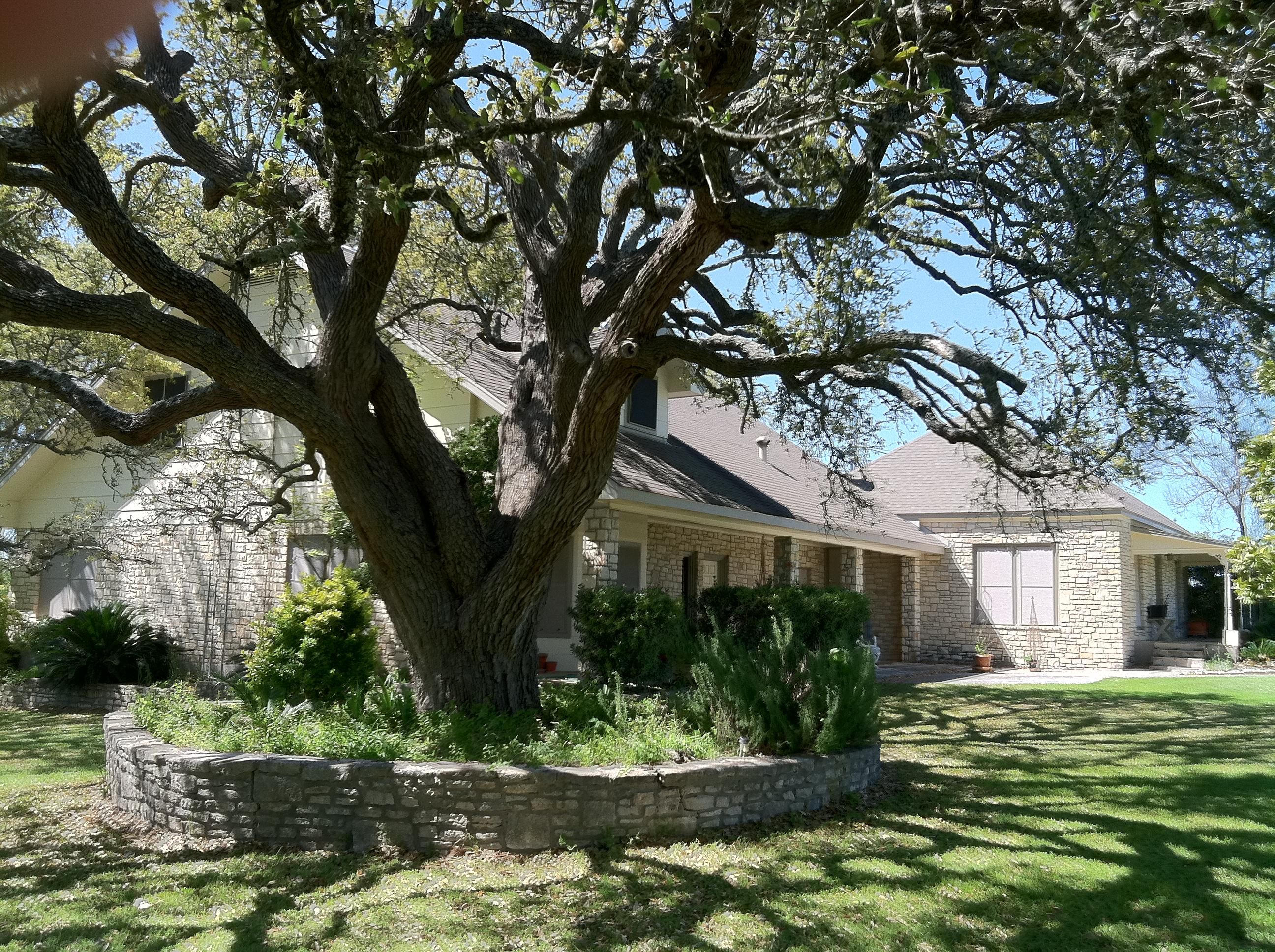 53.28 acres in County, Texas