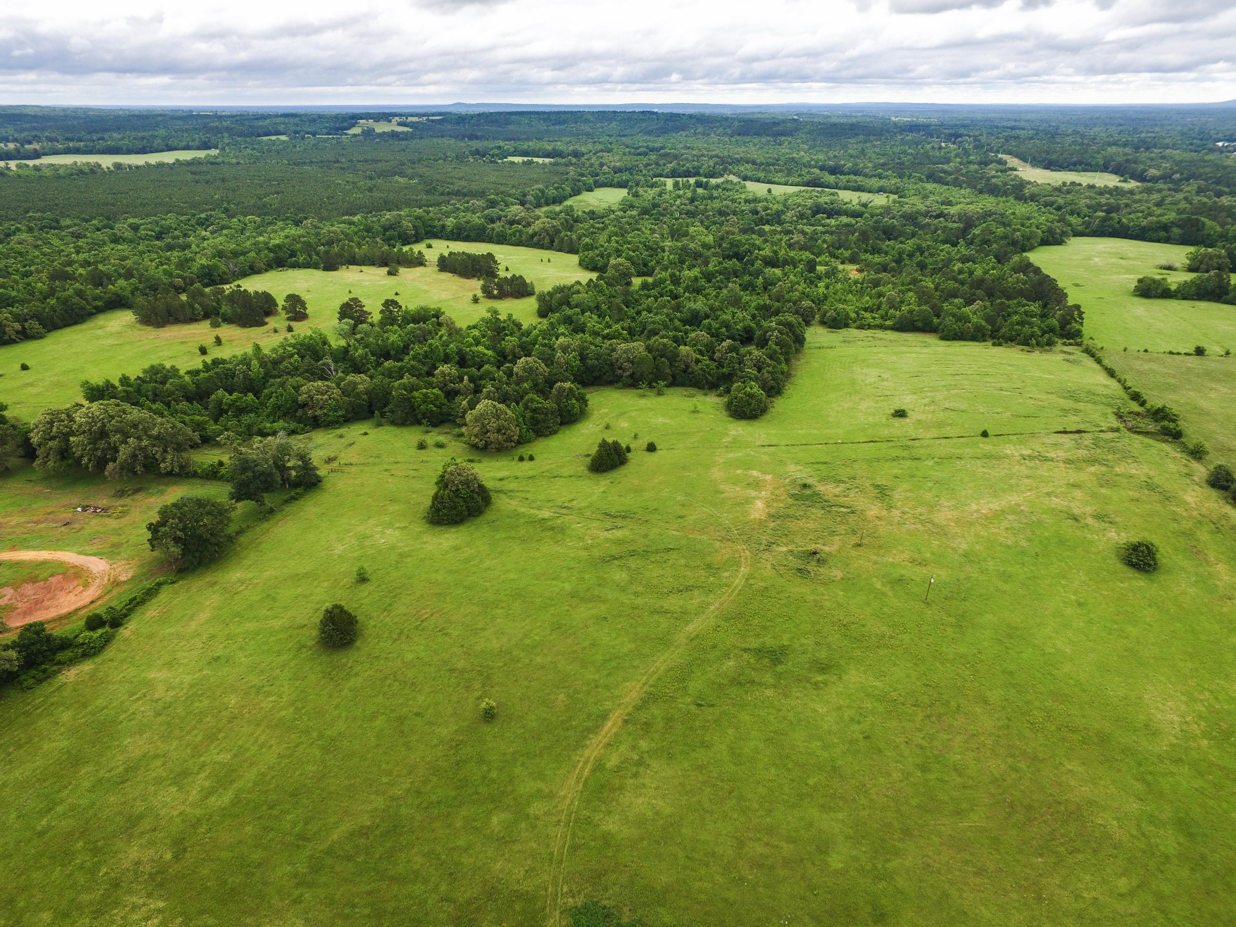 126.5 acres in Cherokee County, Texas