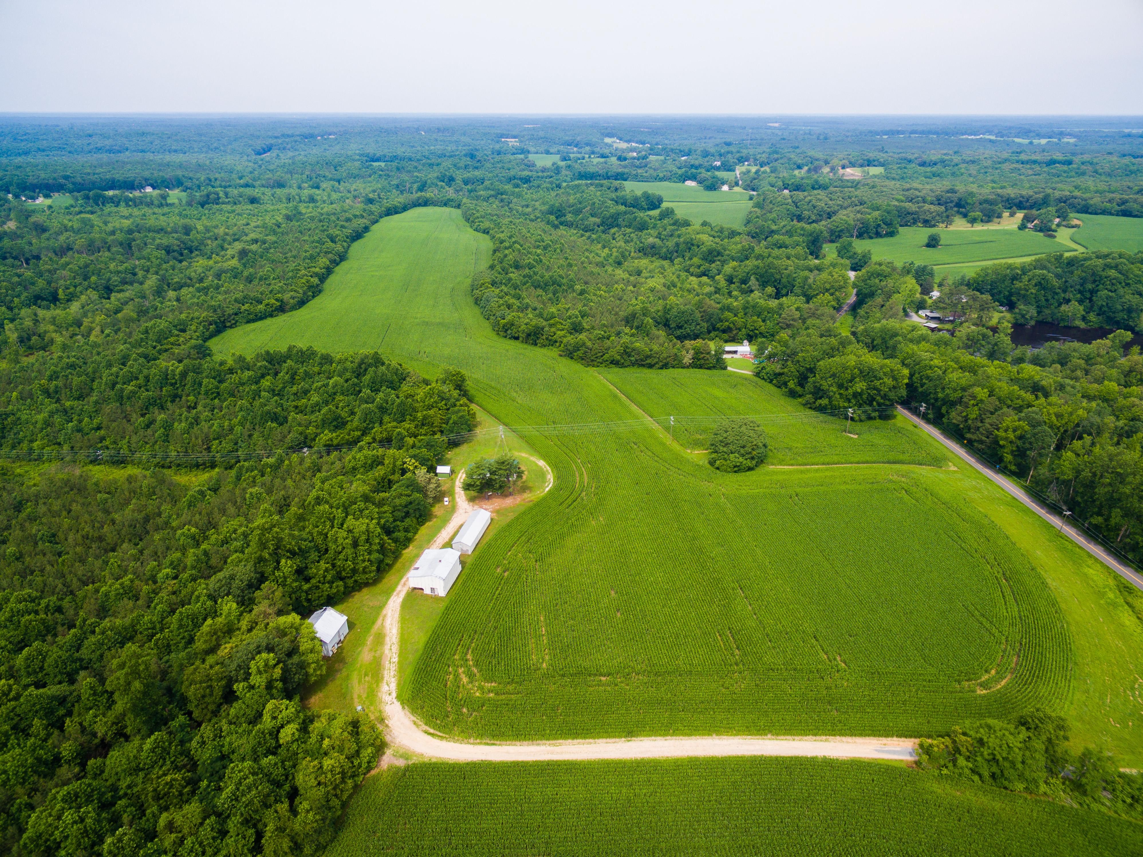 139.75 acres in Caroline County, Virginia