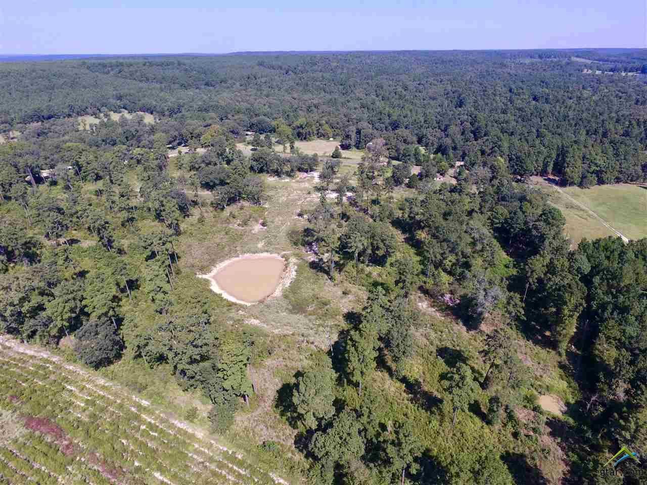 19.43 acres in Cherokee County, Texas