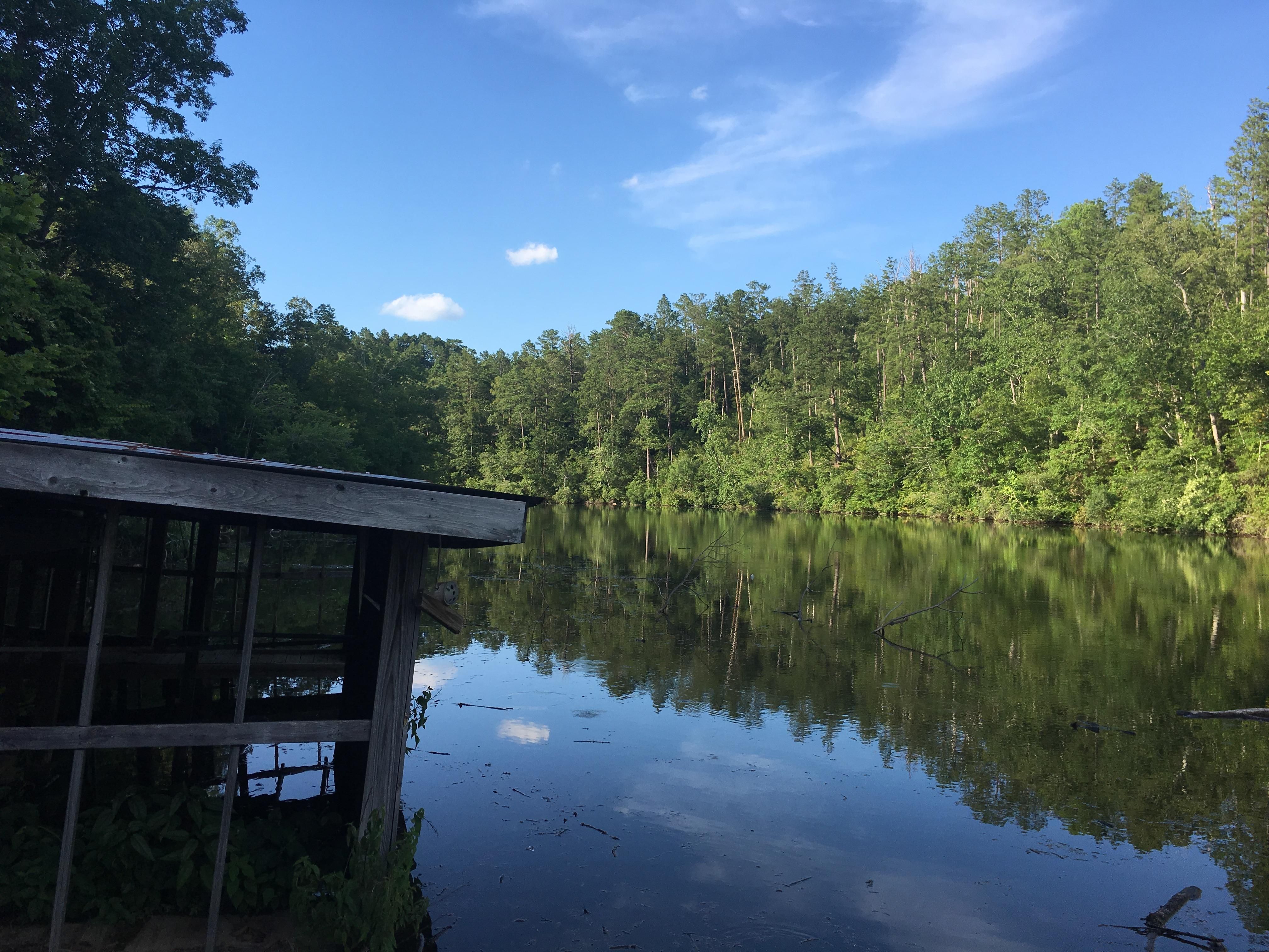 121 acres in Chilton County, Alabama