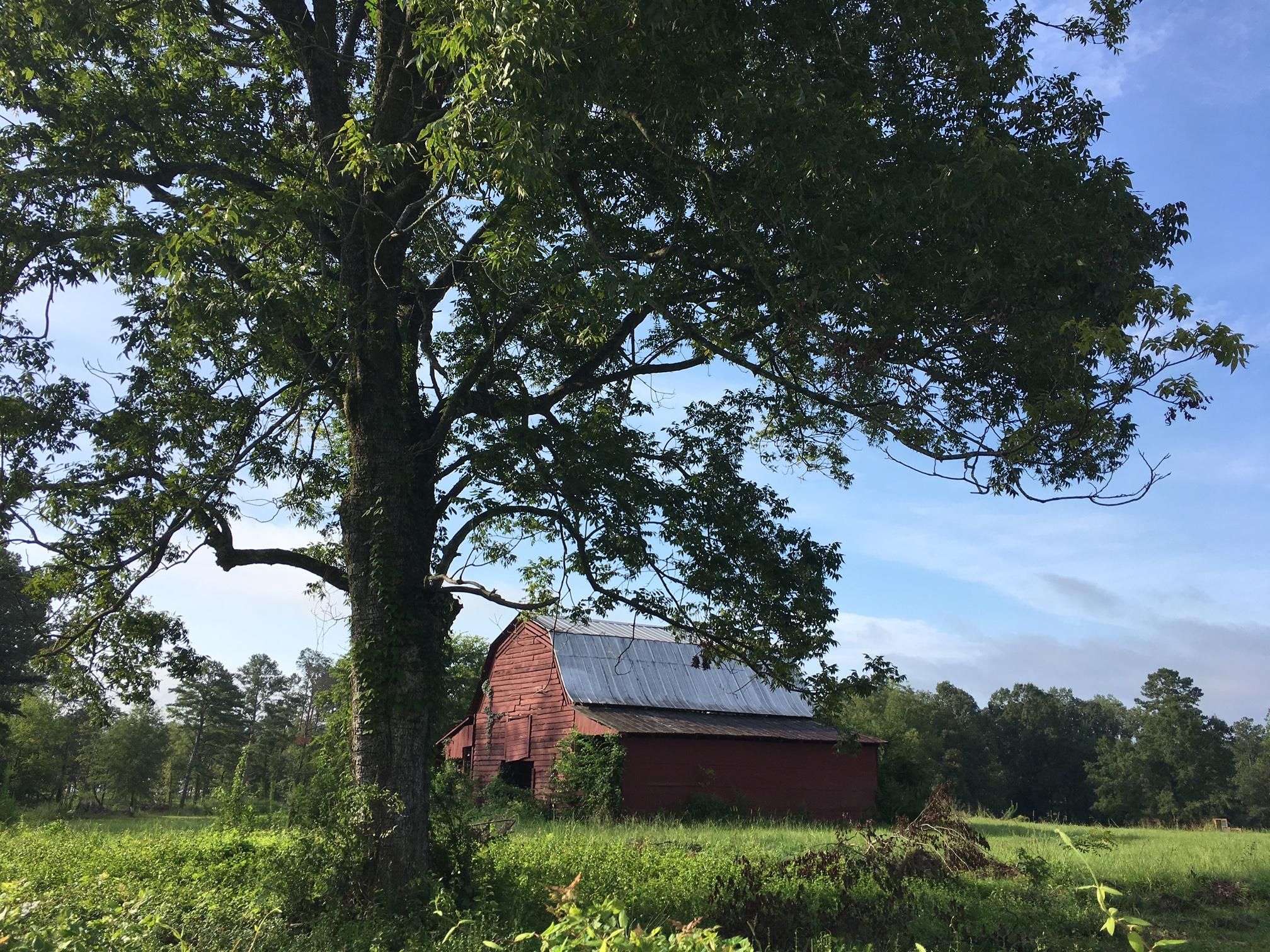 4 acres in Saint Clair County, Alabama