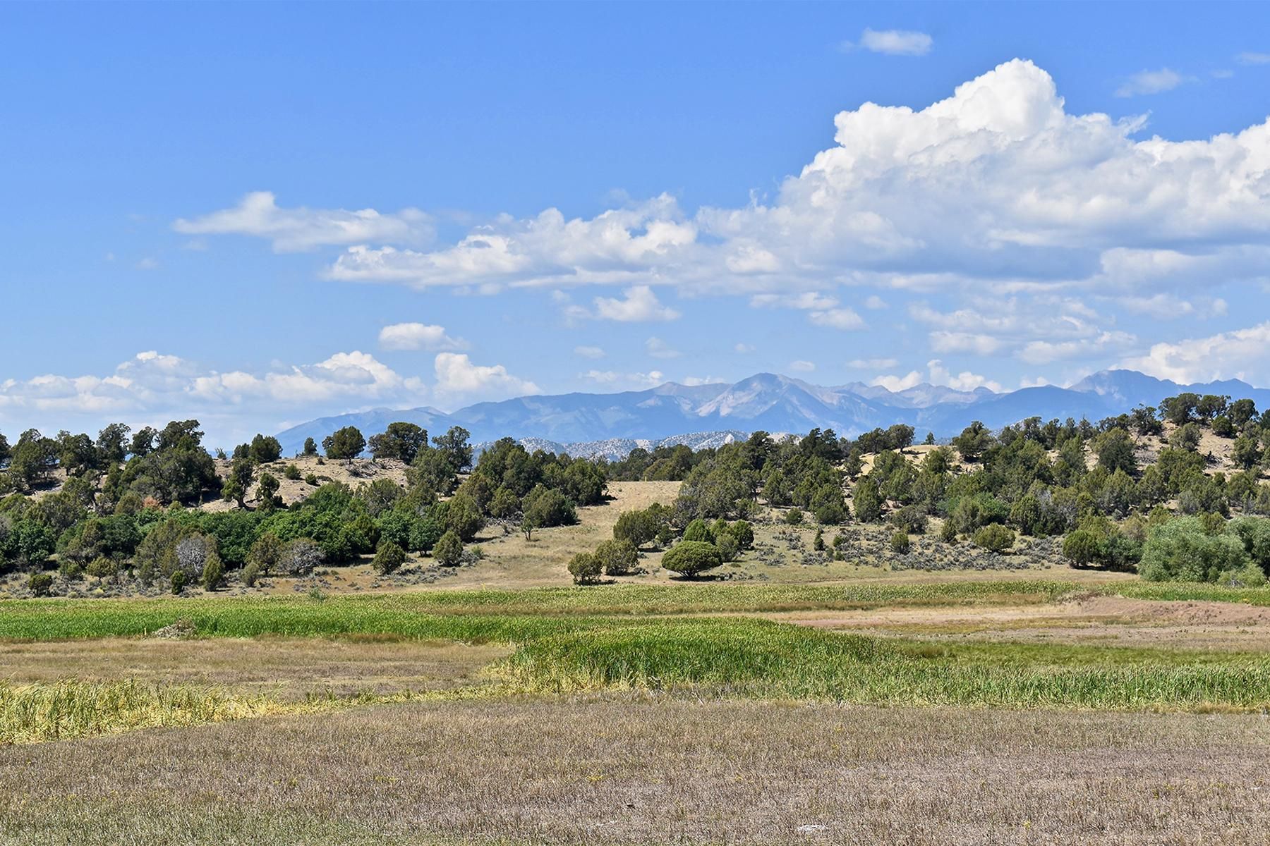 164 acres in La Plata County, Colorado