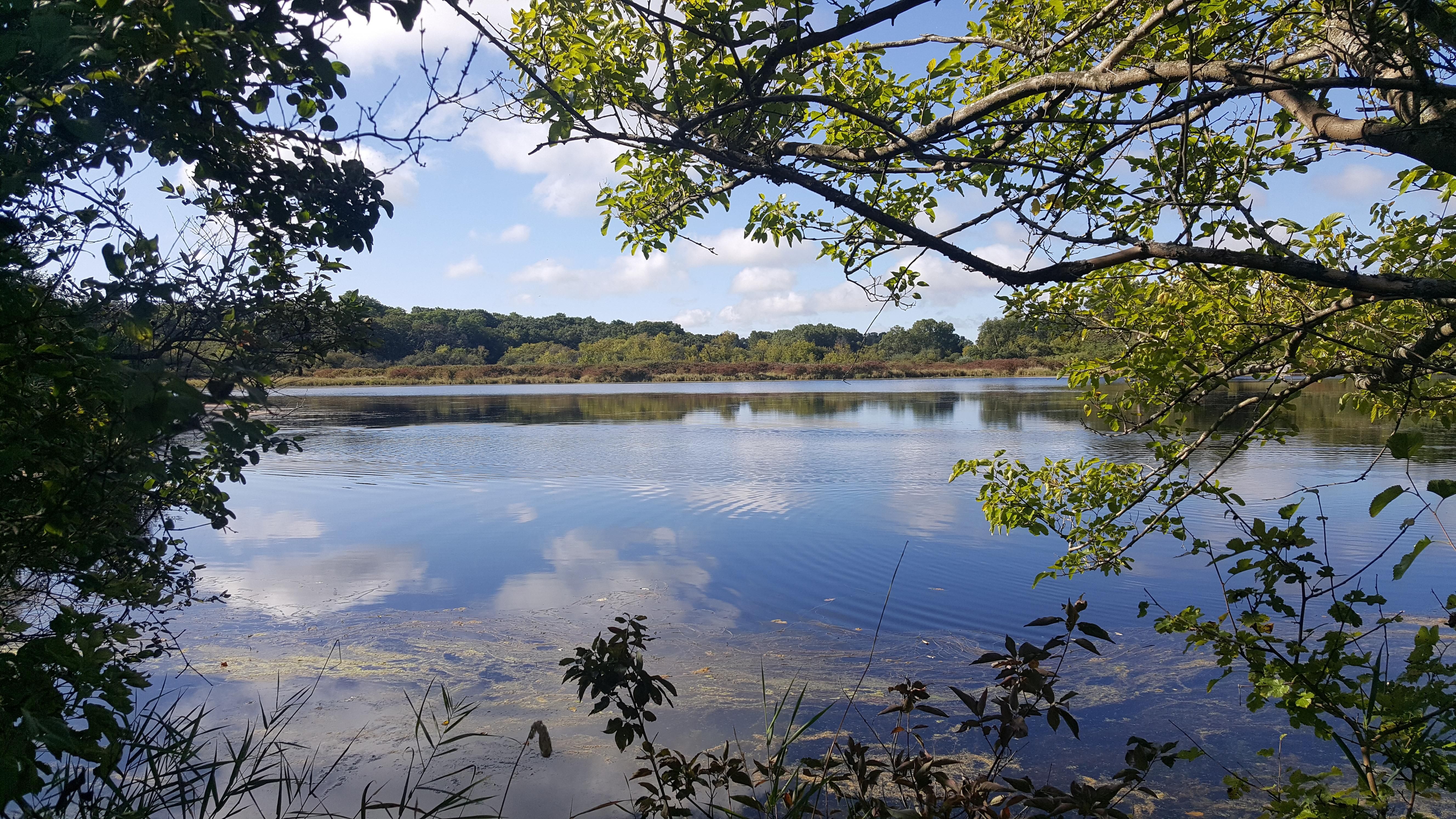 193.00 acres in McHenry County, Illinois