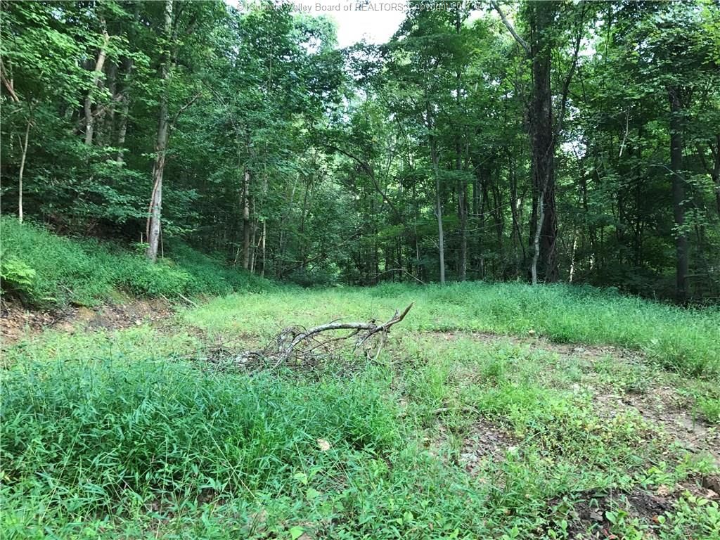 43.75 acres in Putnam County, West Virginia