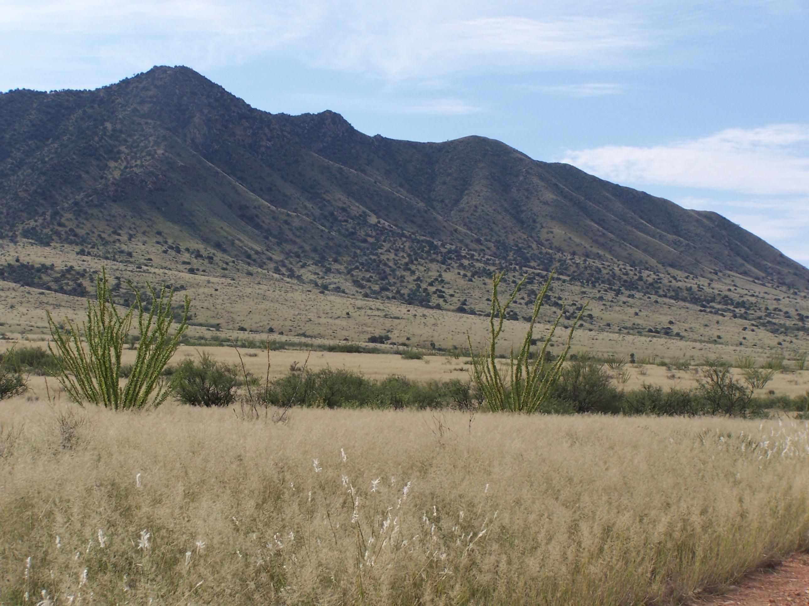 16579.00 acres in Cochise County, Arizona