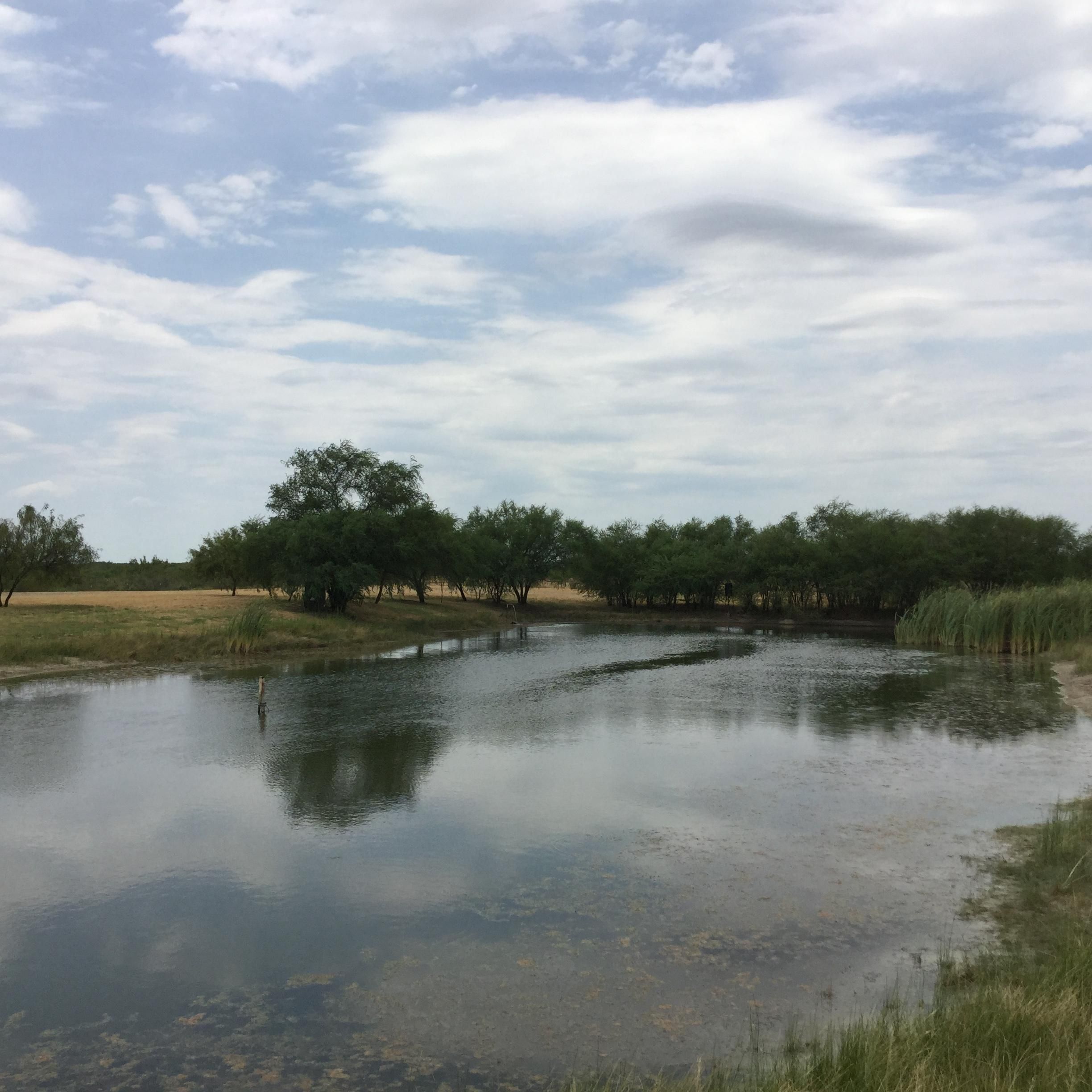 579 acres in b County, Texas