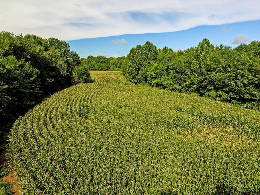 67 acres in Johnson County, Missouri