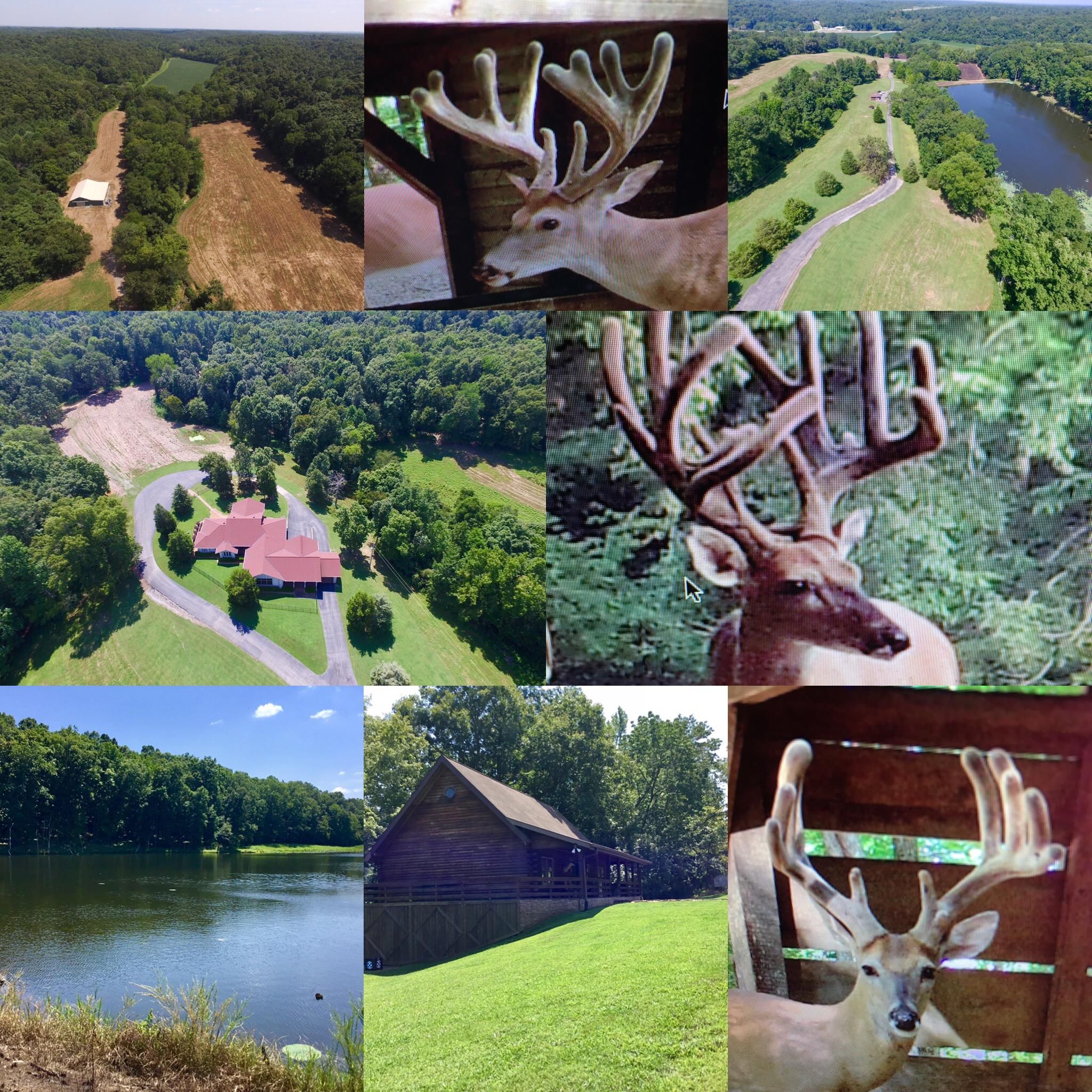 680 acres in Trigg County, Kentucky