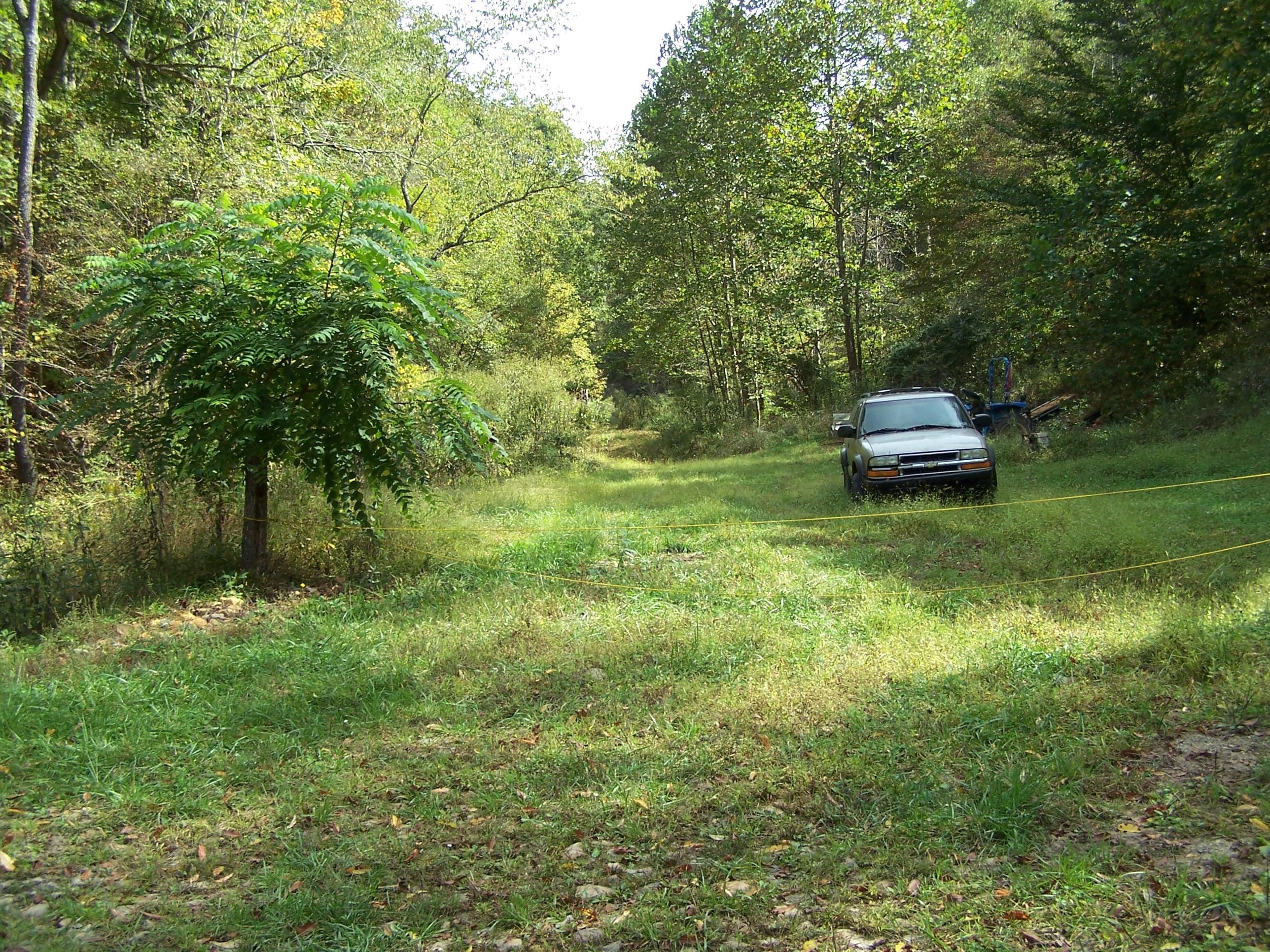 133.45 acres in Calhoun County, West Virginia