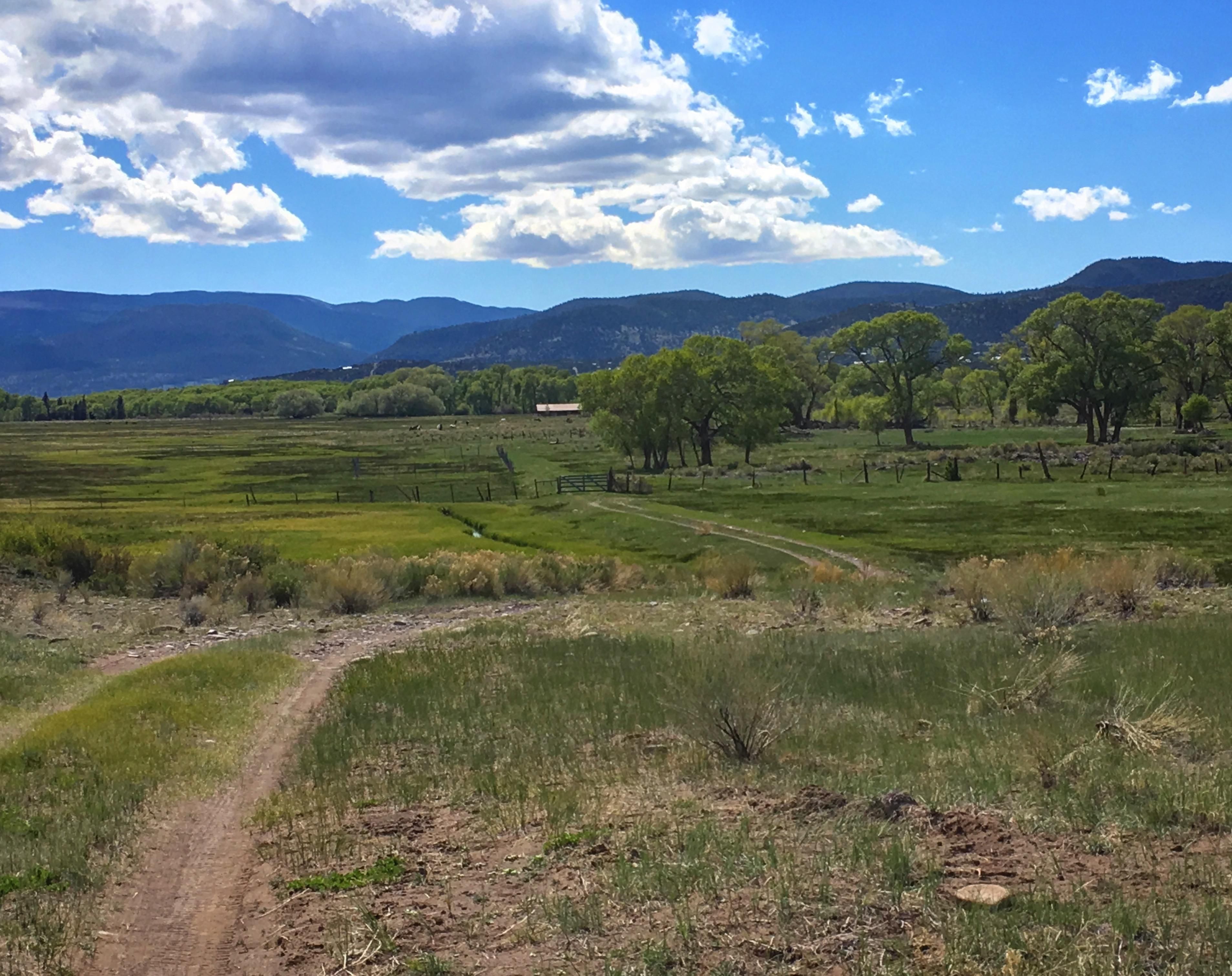 31.98 acres in Rio Grande County, Colorado