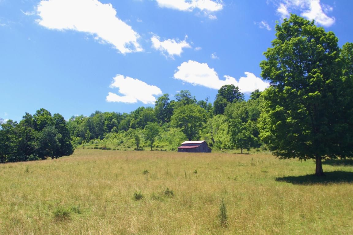 383 acres in Pocahontas County, West Virginia