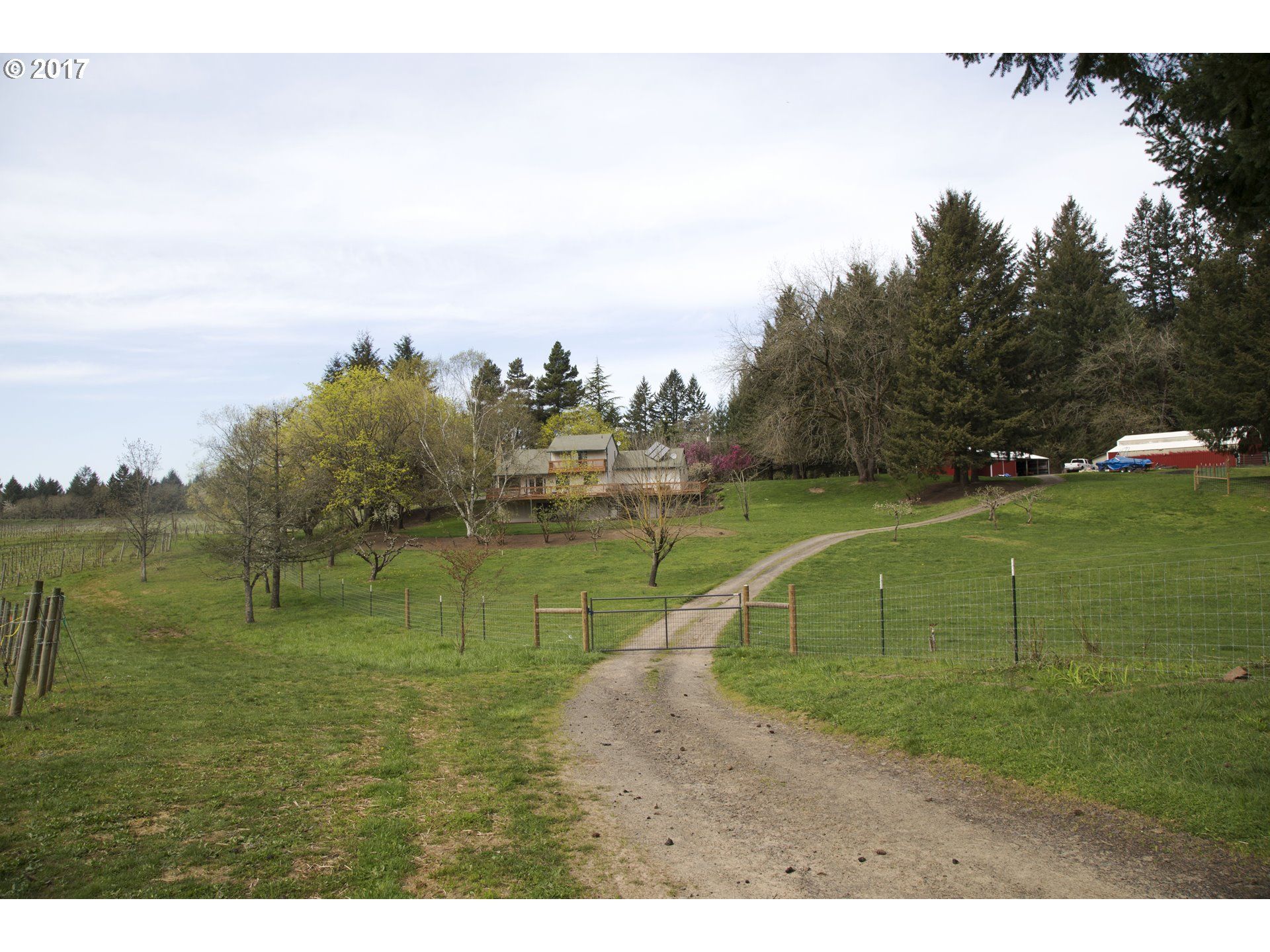 50.6 acres in Yamhill County, Oregon