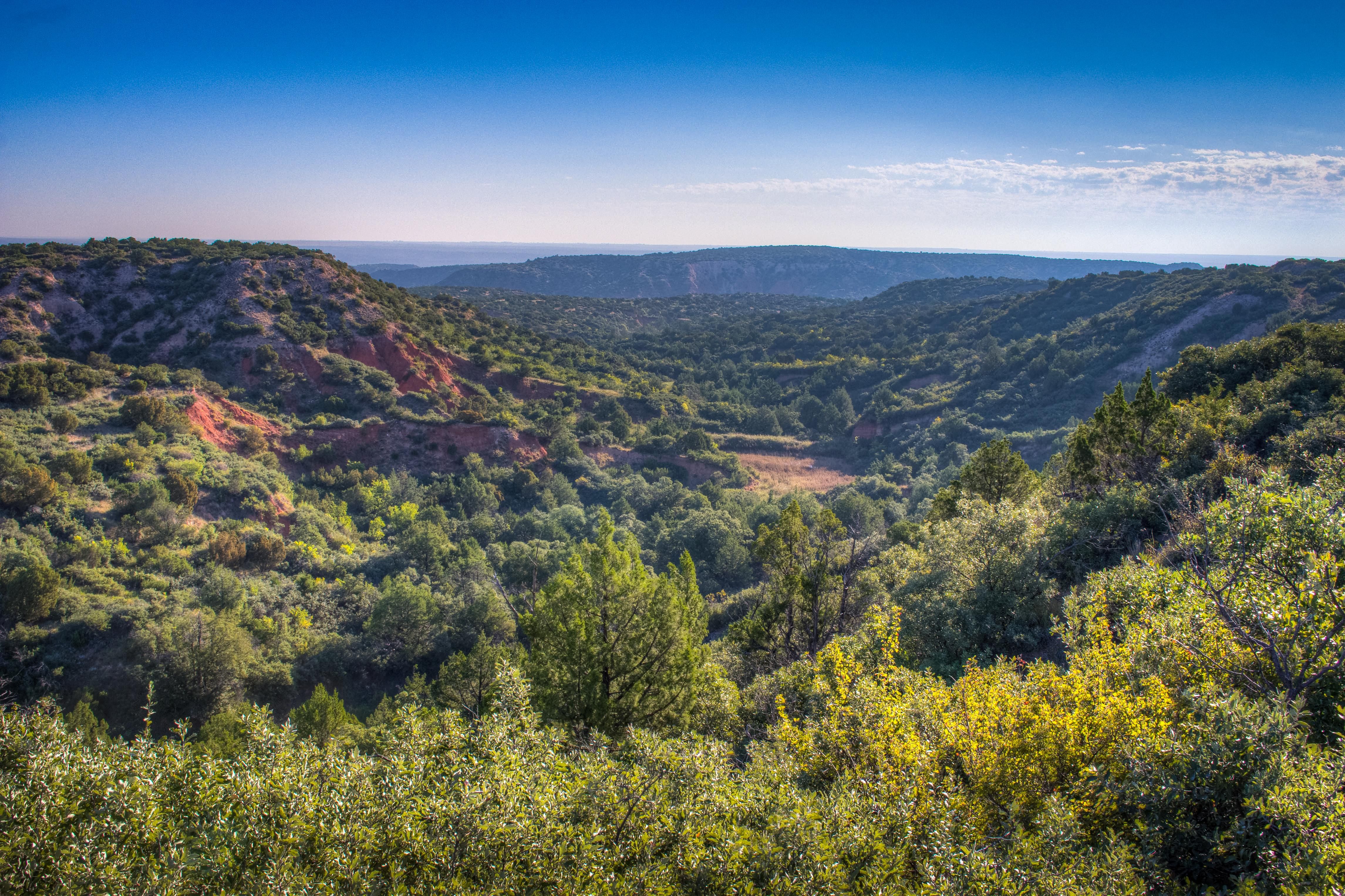 2,050 acres in Armstrong County, Texas