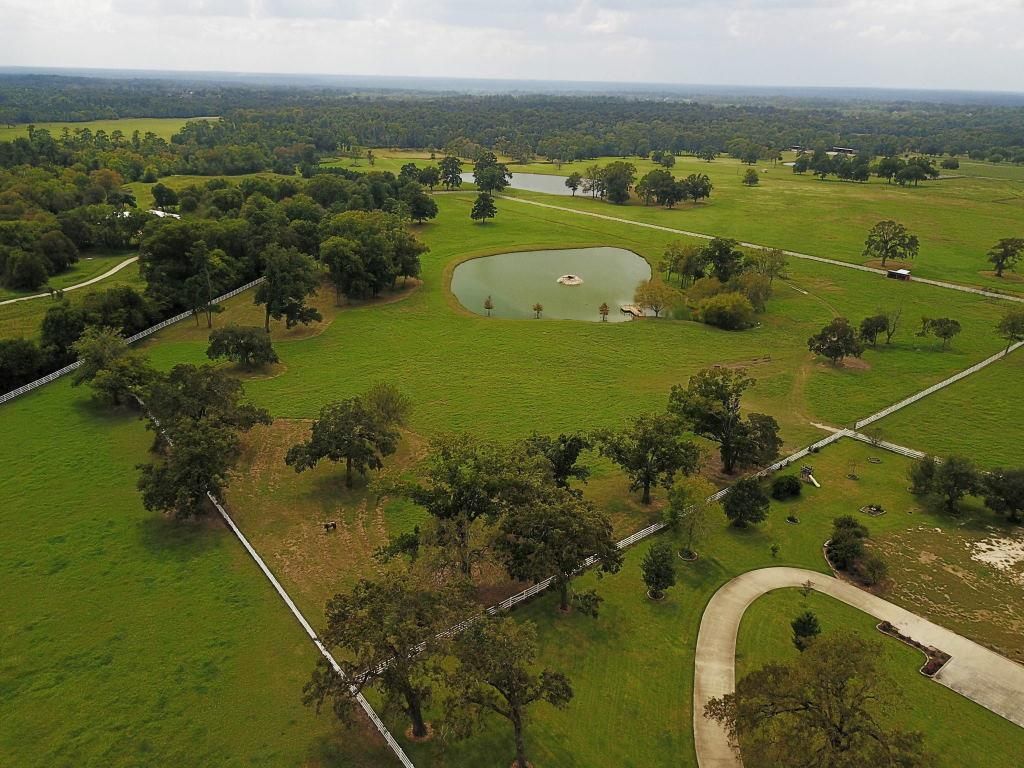 63 acres in Montgomery County, Texas