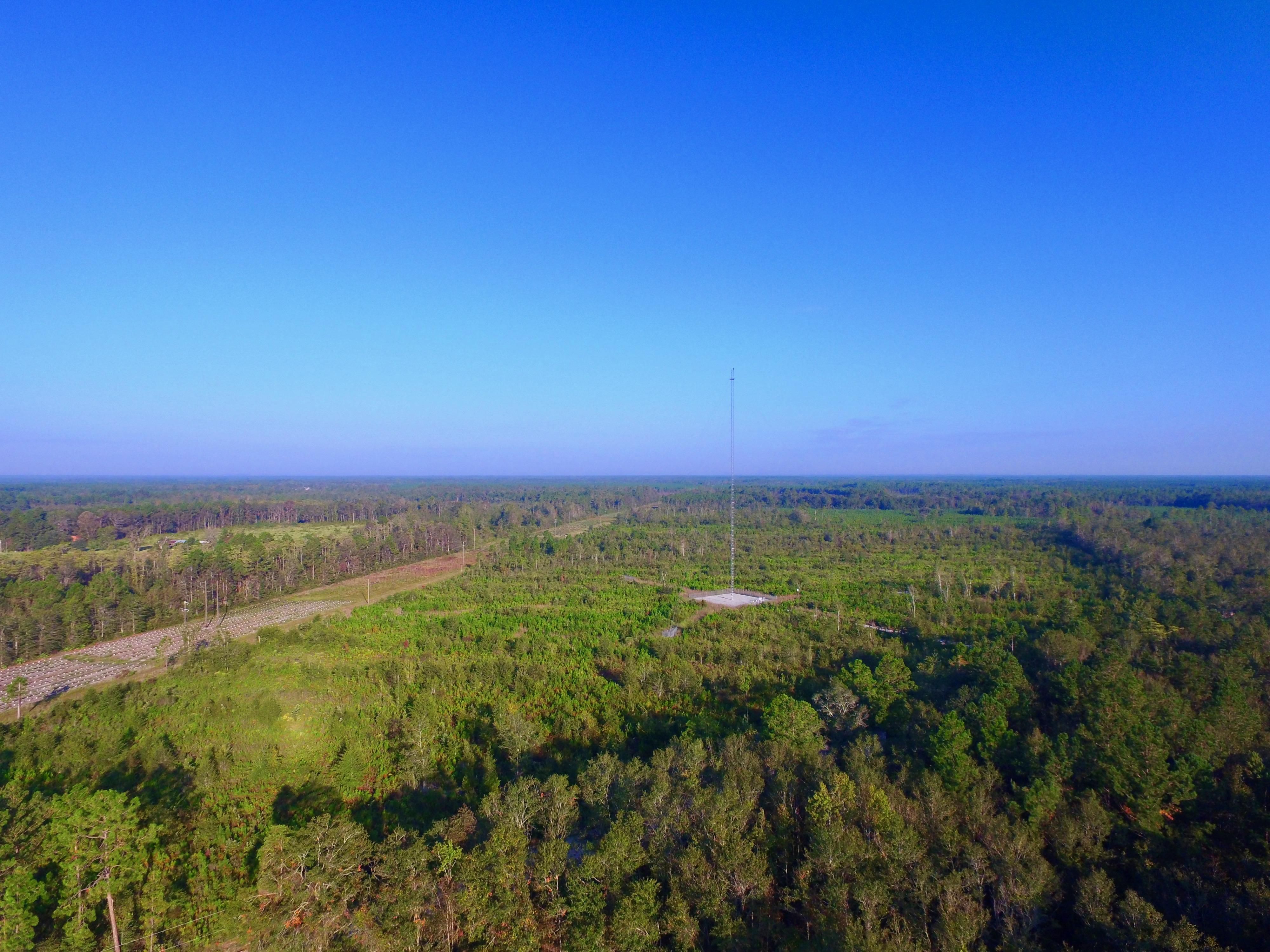 60 acres in Long County,