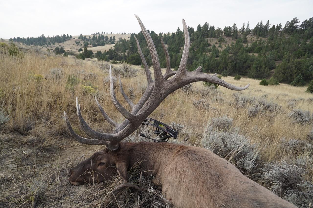 14,498 acres in Powder River County, Montana