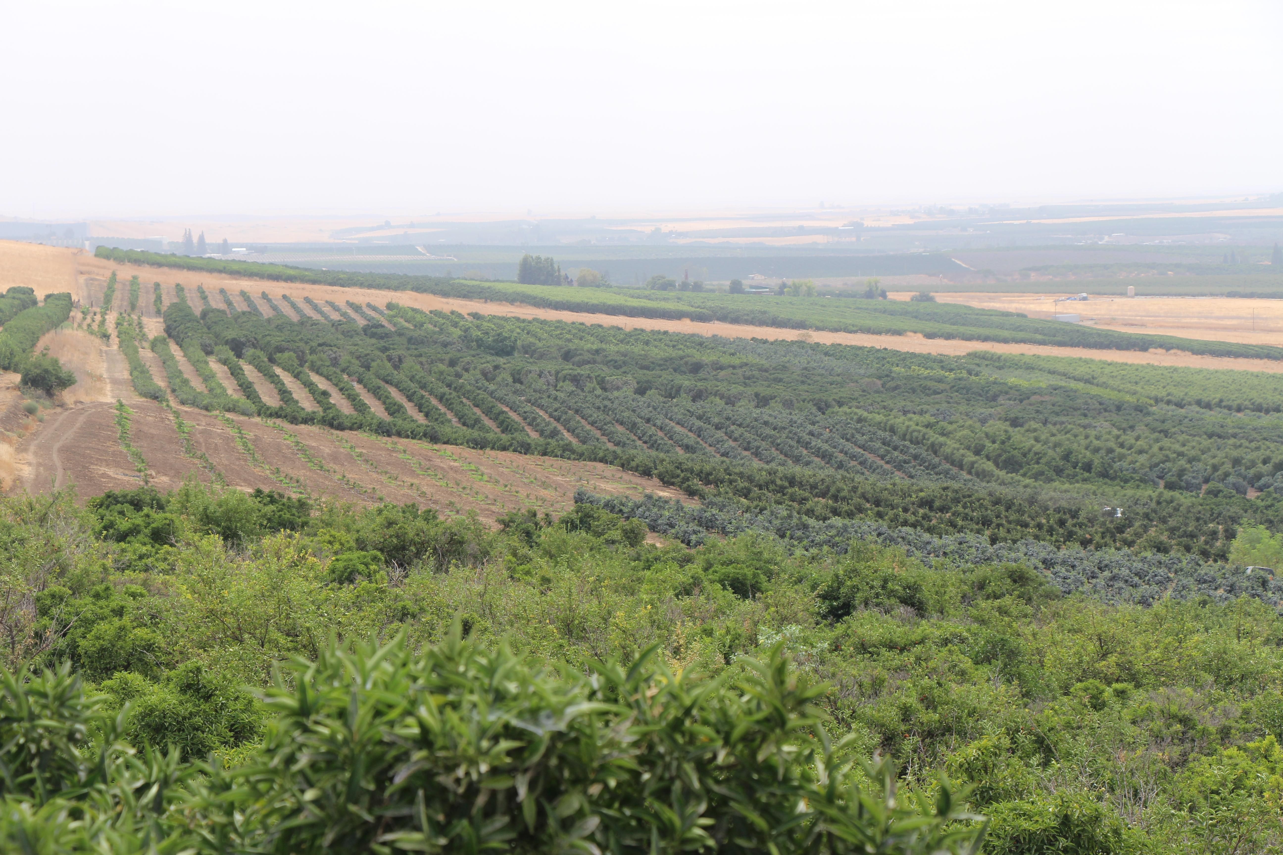 347.00 acres in Tulare County, California