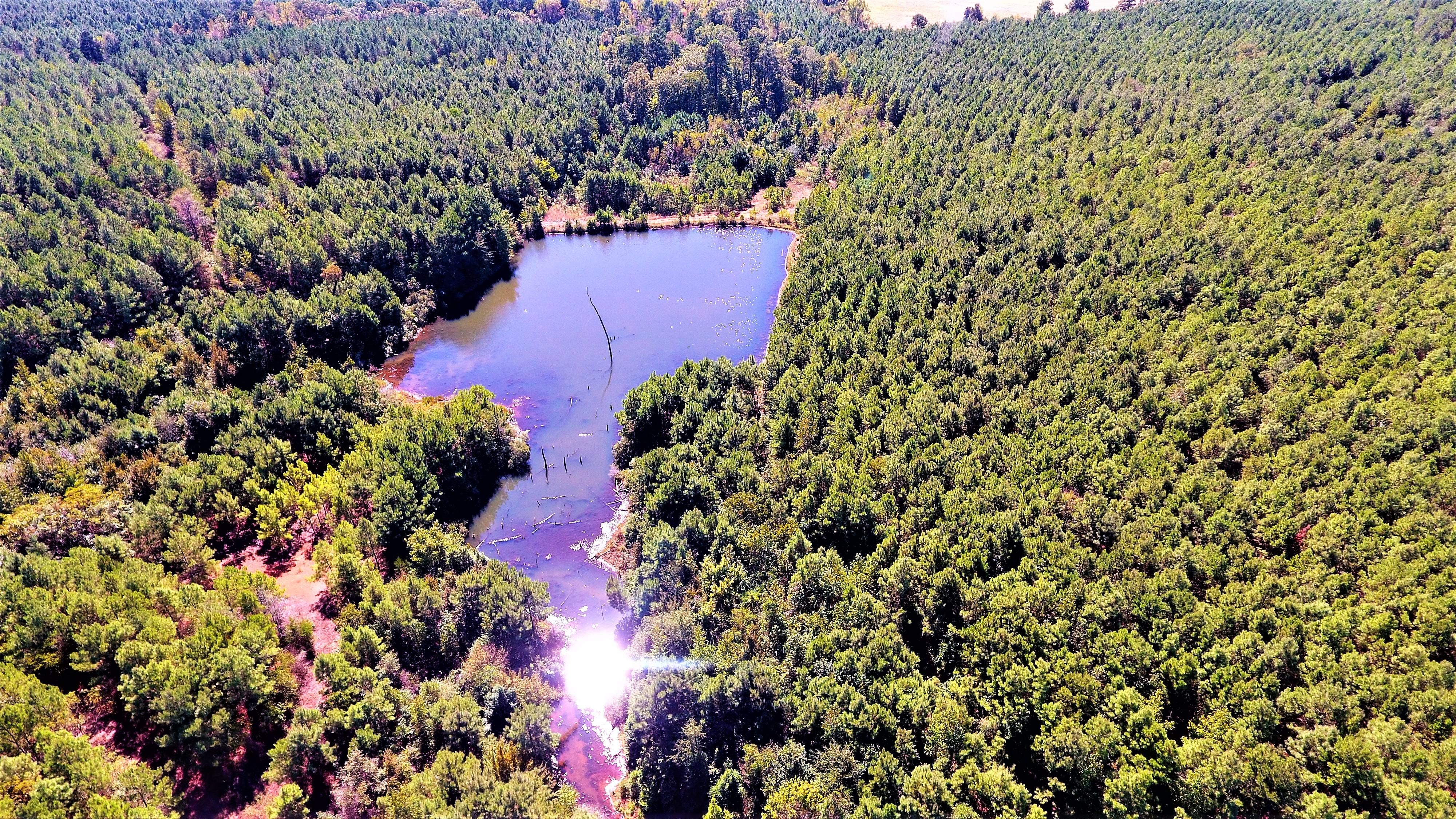 650 acres in Morris County, Texas