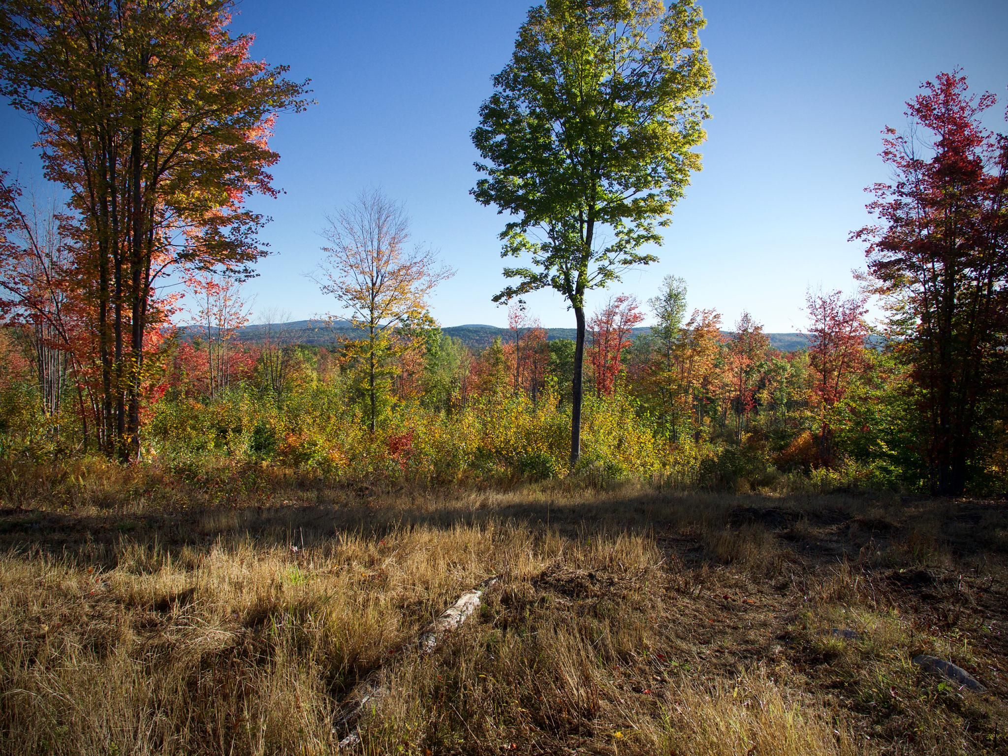 78 acres in Oxford County, Maine
