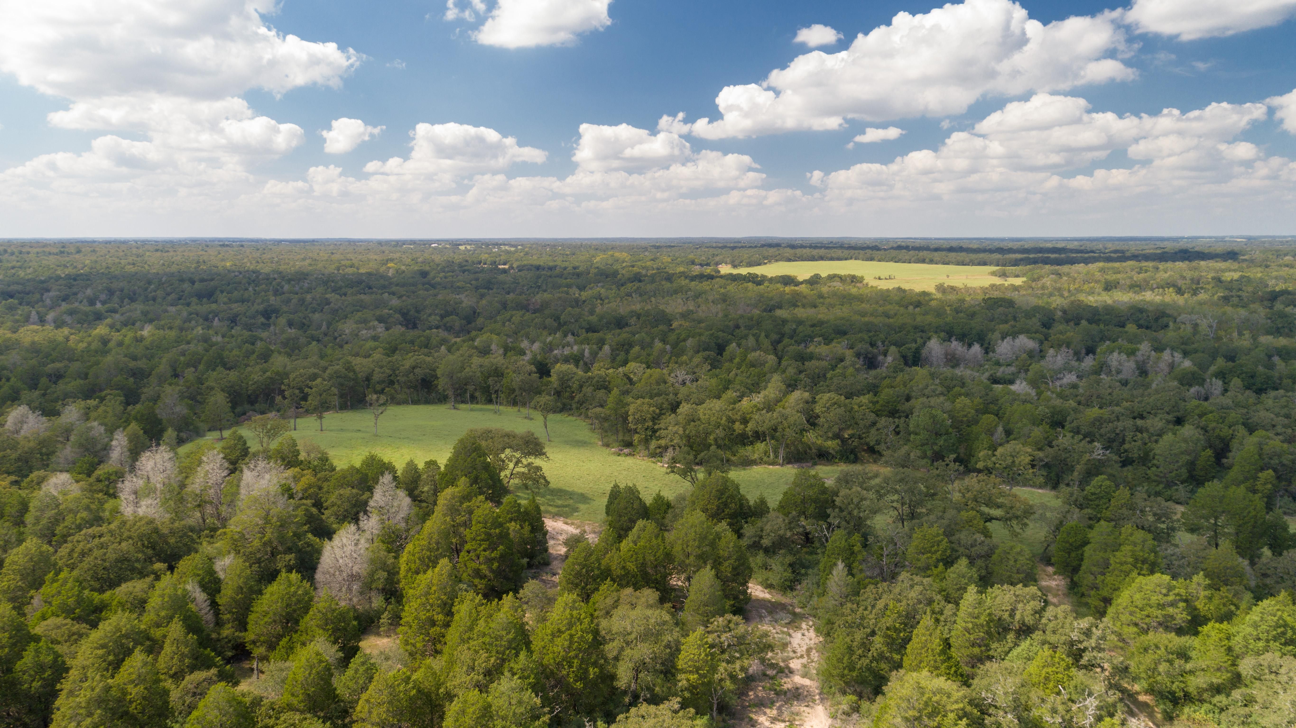 1,150 acres in Lee County, Texas