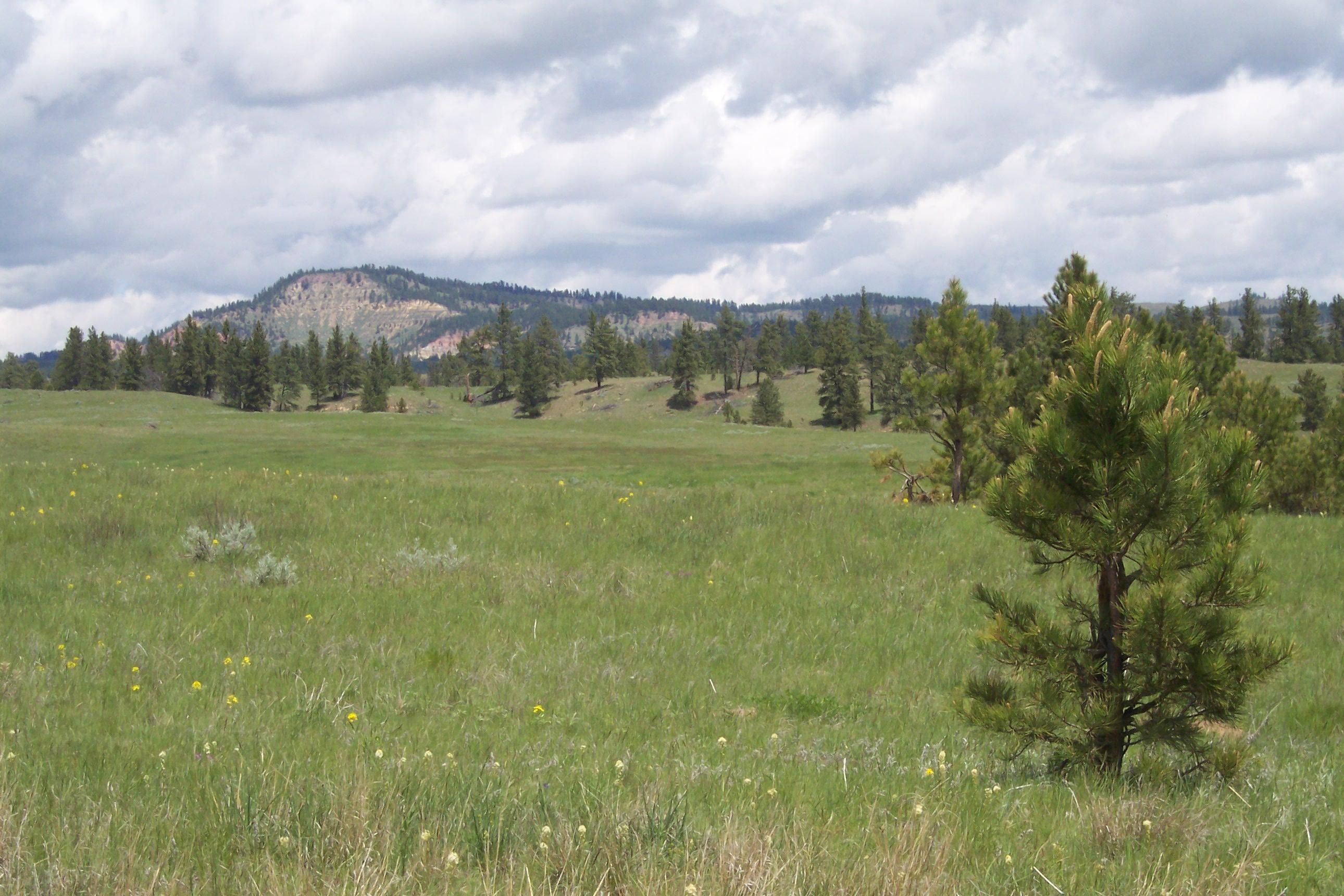 135 acres in Powder River County, Montana