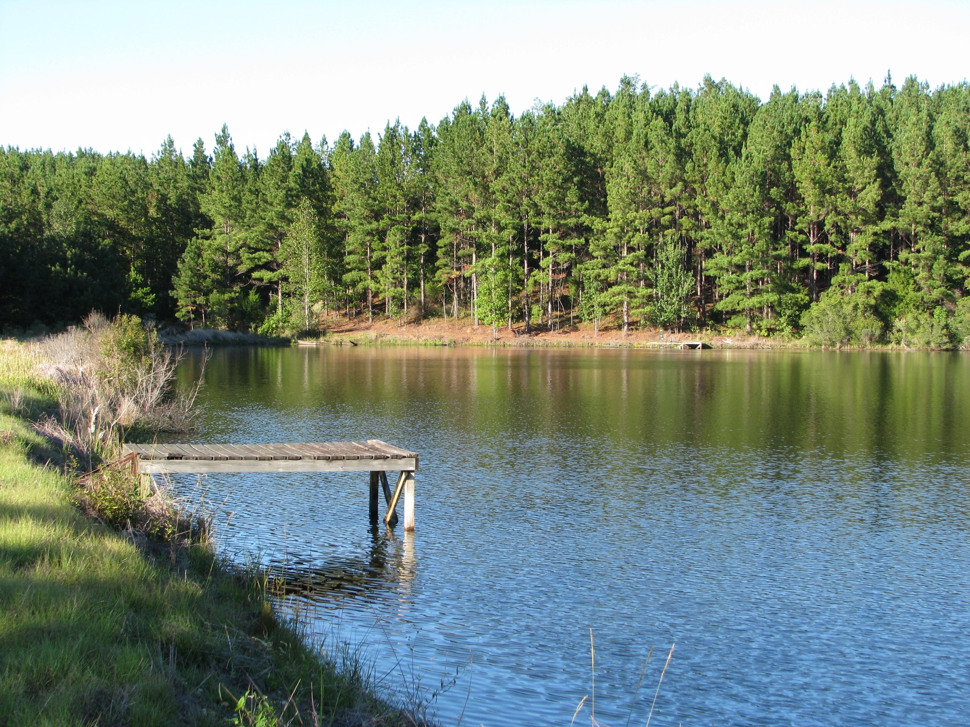 180 acres in Wilcox County, Alabama