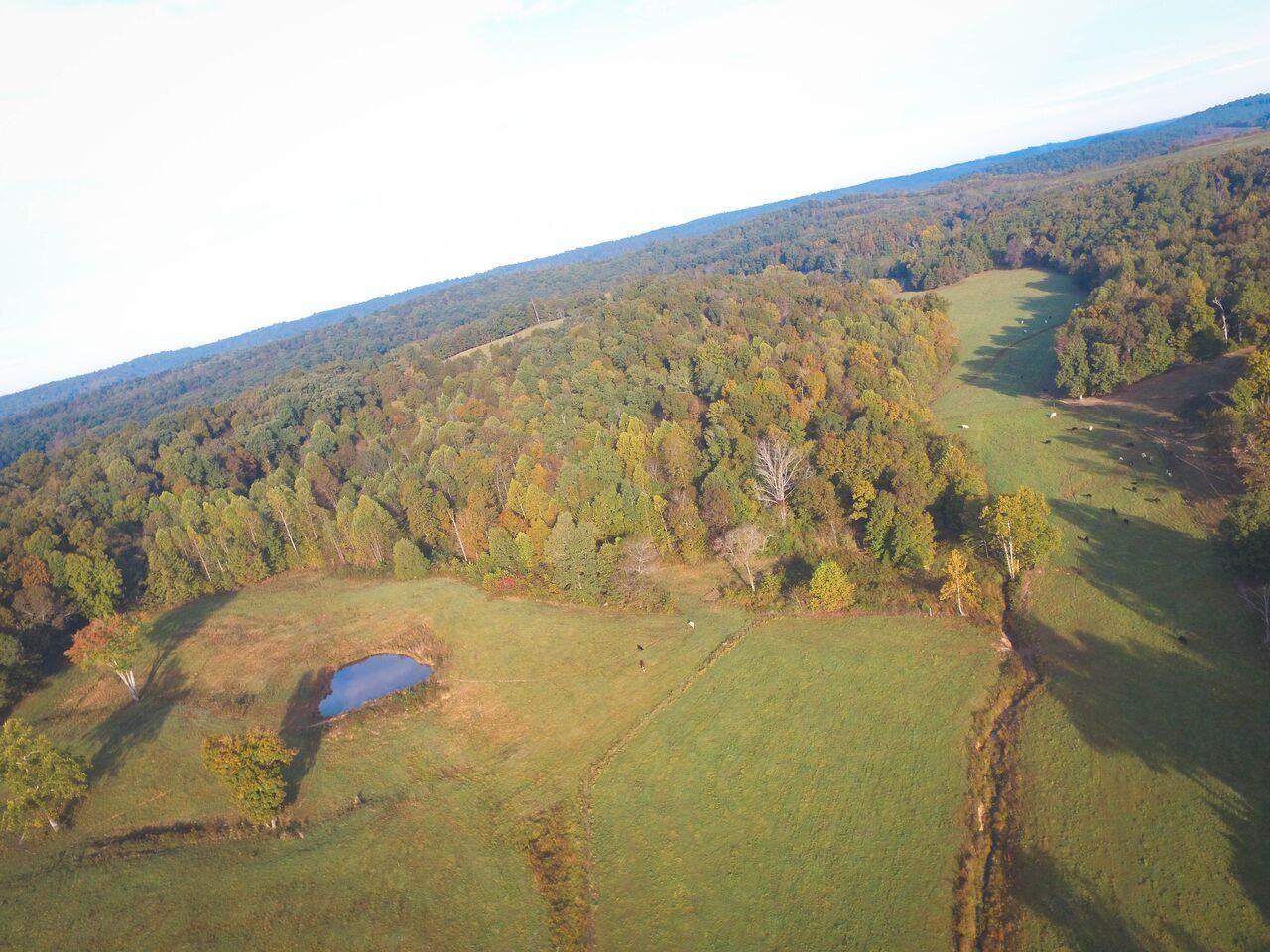 88 acres in Butler County, Kentucky