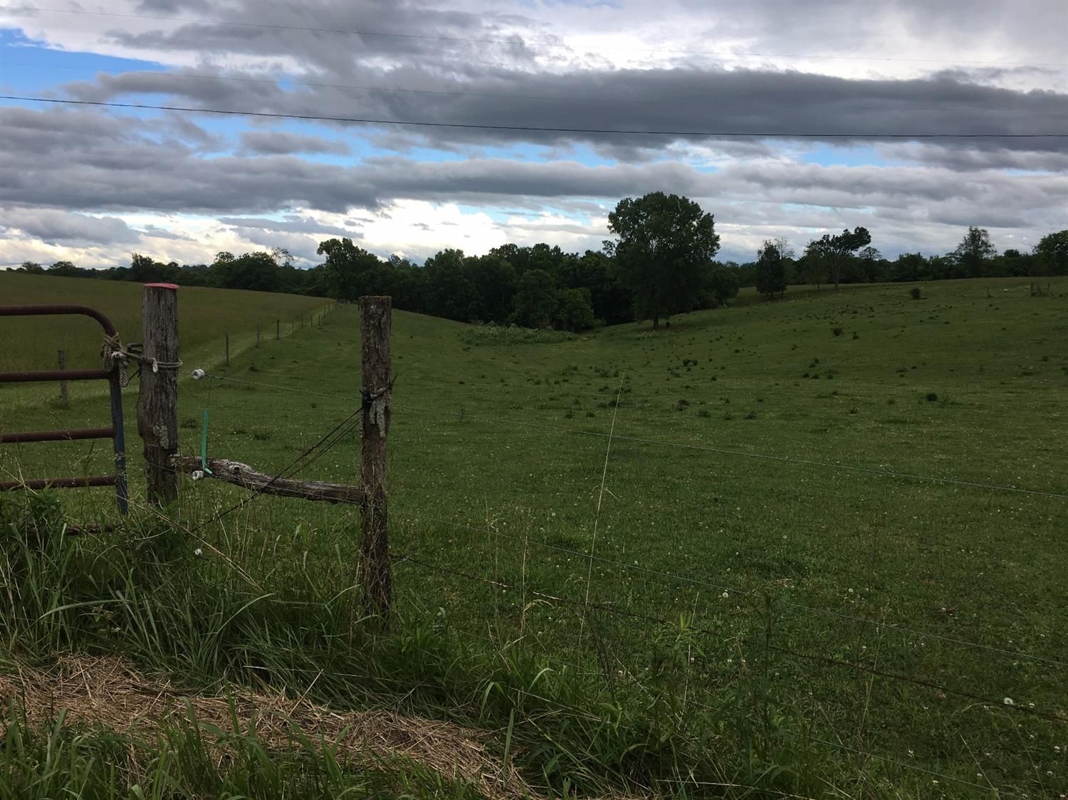 40 acres in Fleming County, Kentucky