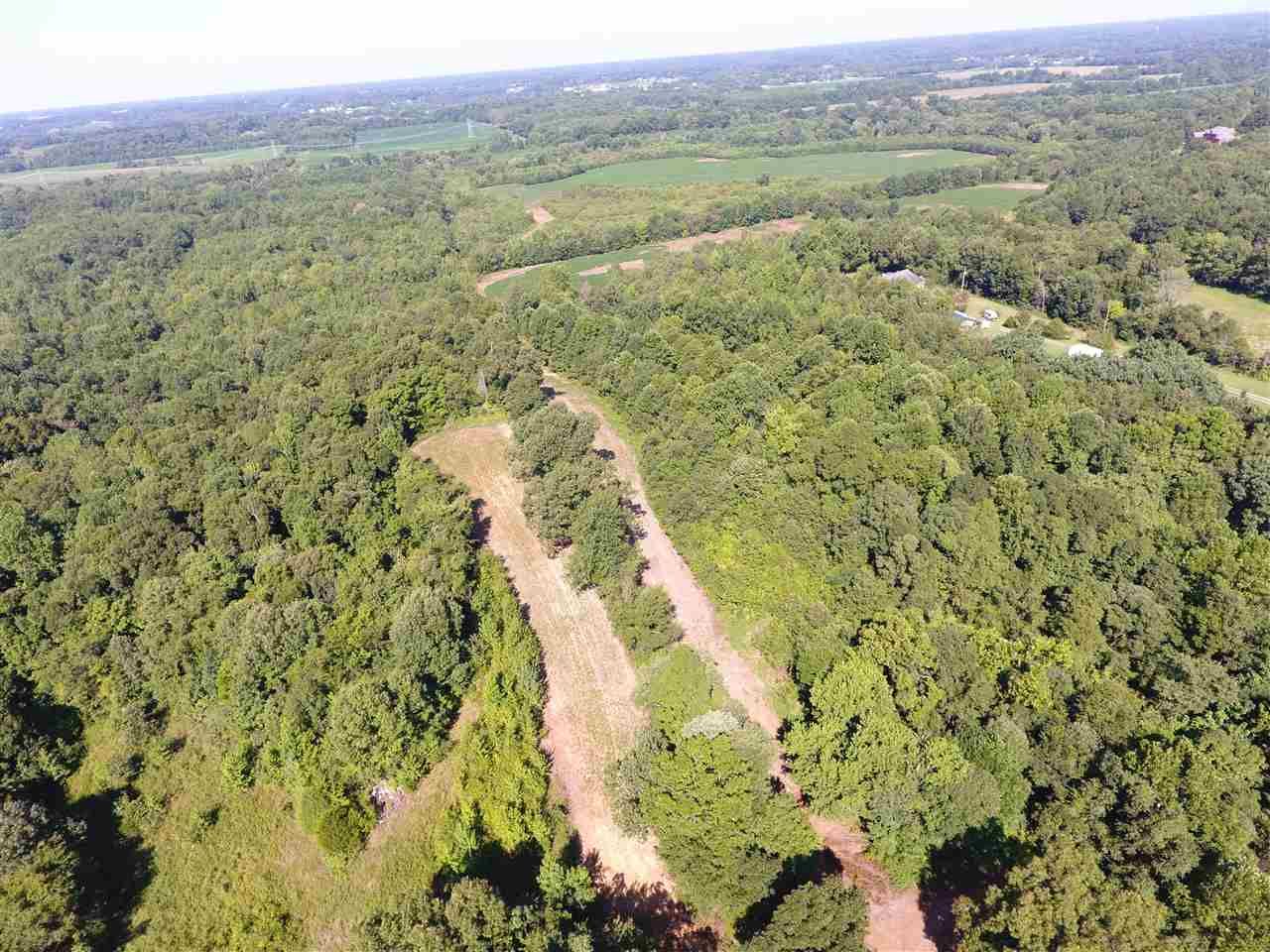 46 acres in Calloway County, Kentucky