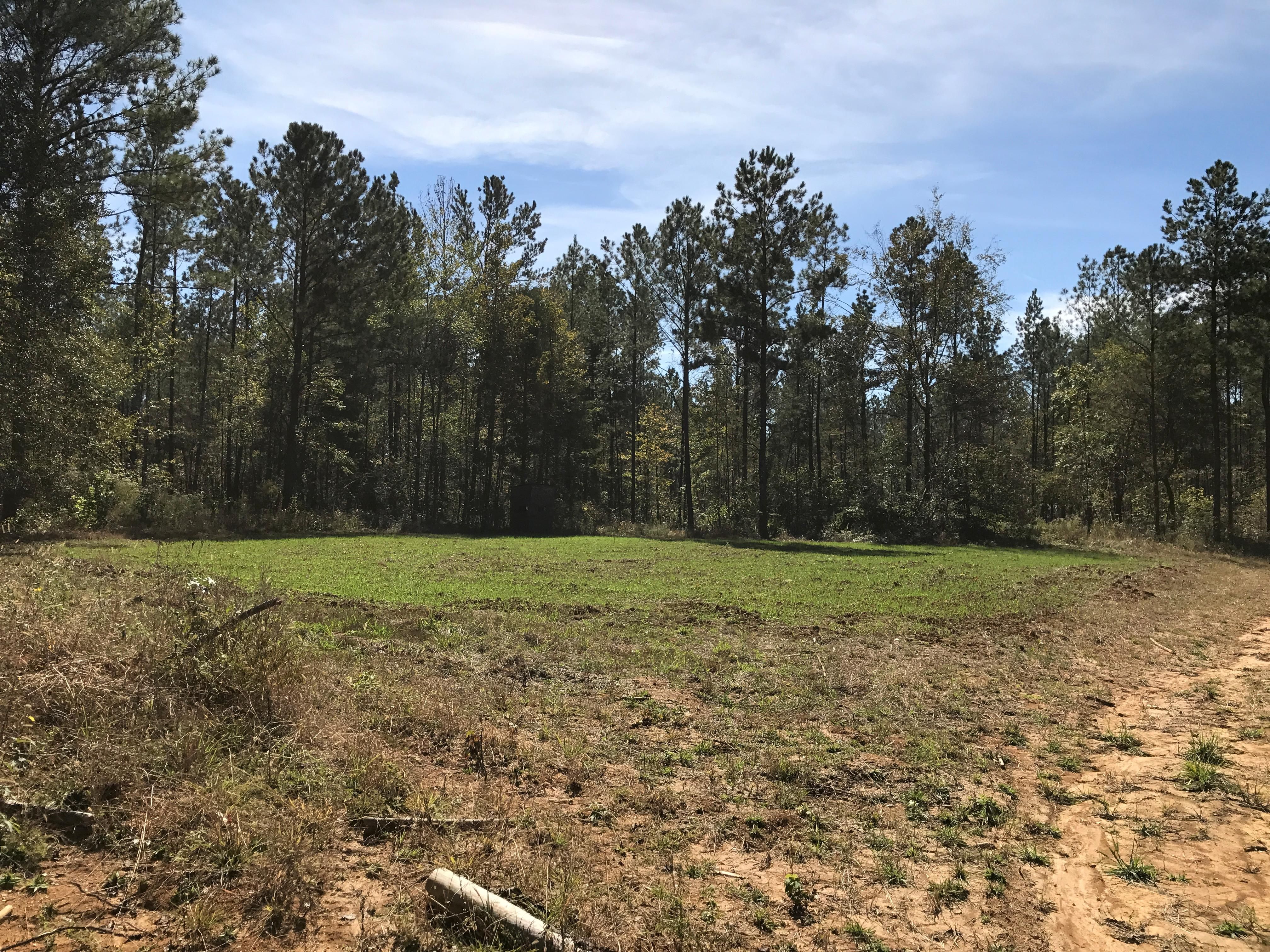 528 acres in Newton County, Mississippi