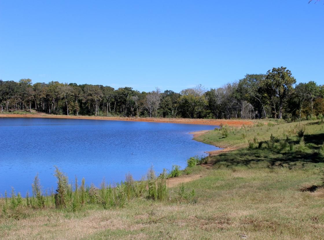 60 acres in Leon County, Texas