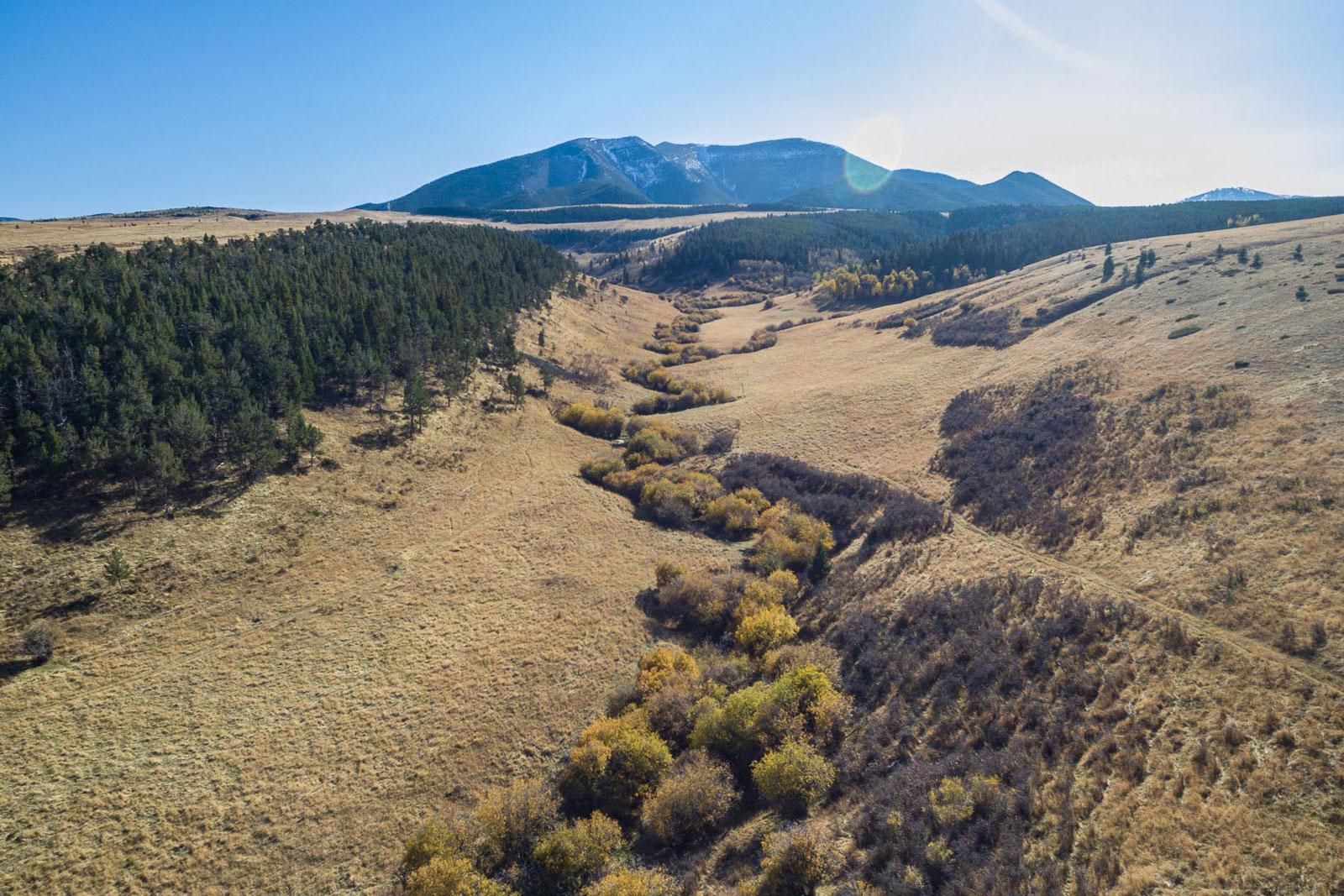 1,440 acres in Judith Basin County, Montana