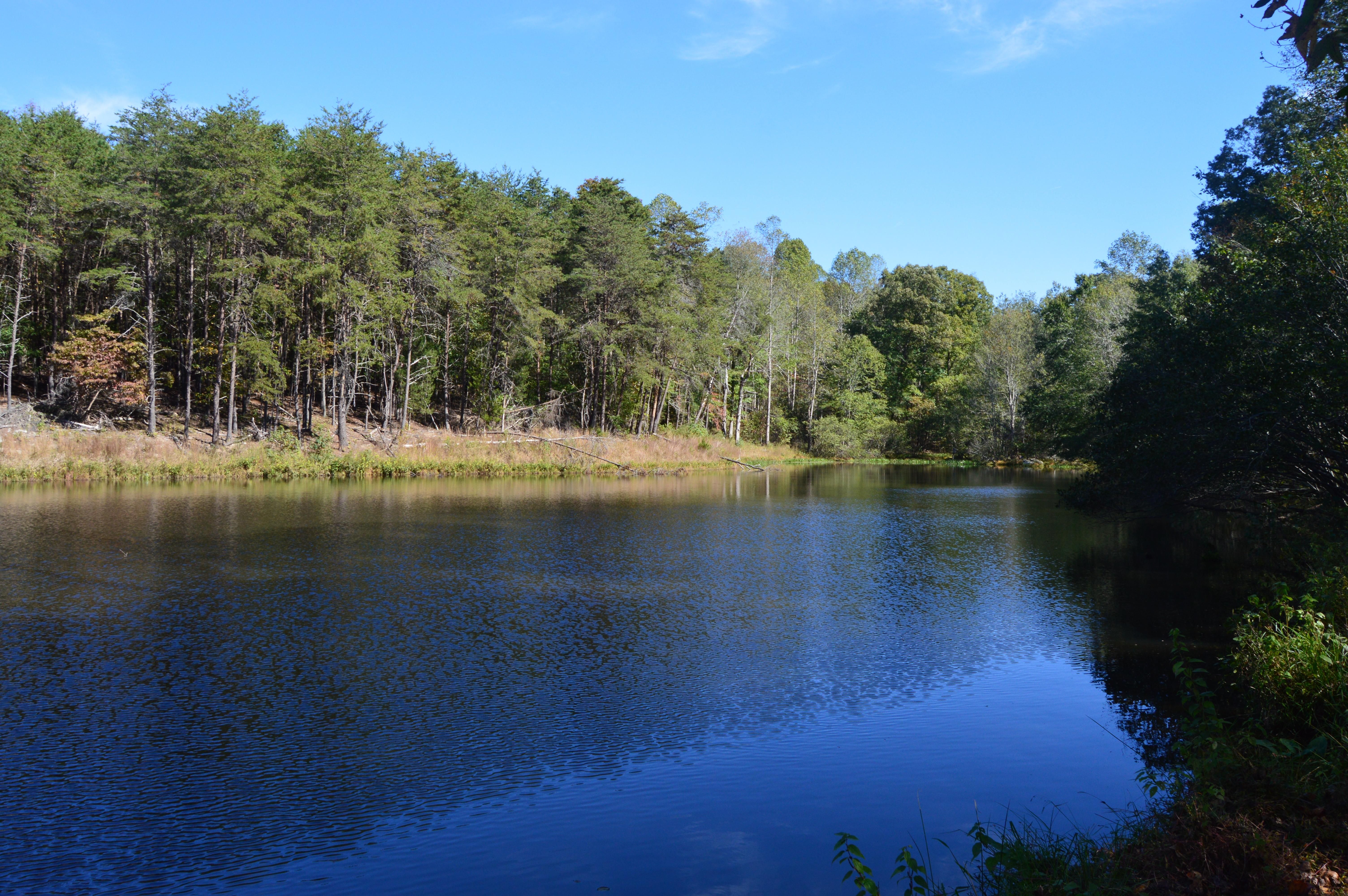 80.35 acres in Rockingham County, North Carolina