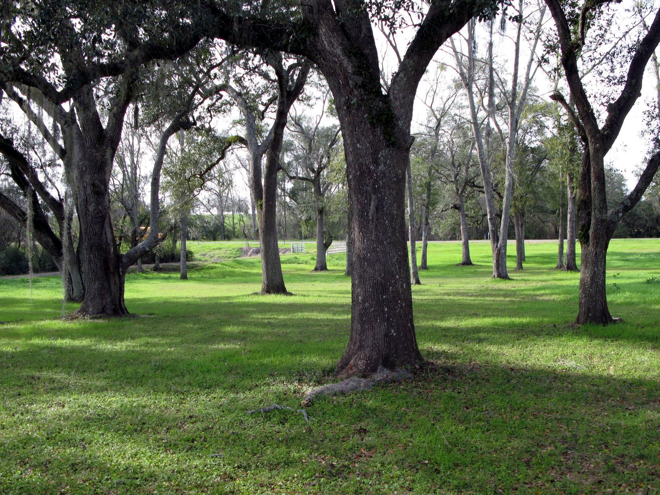 10.94 acres in Jefferson County, Florida