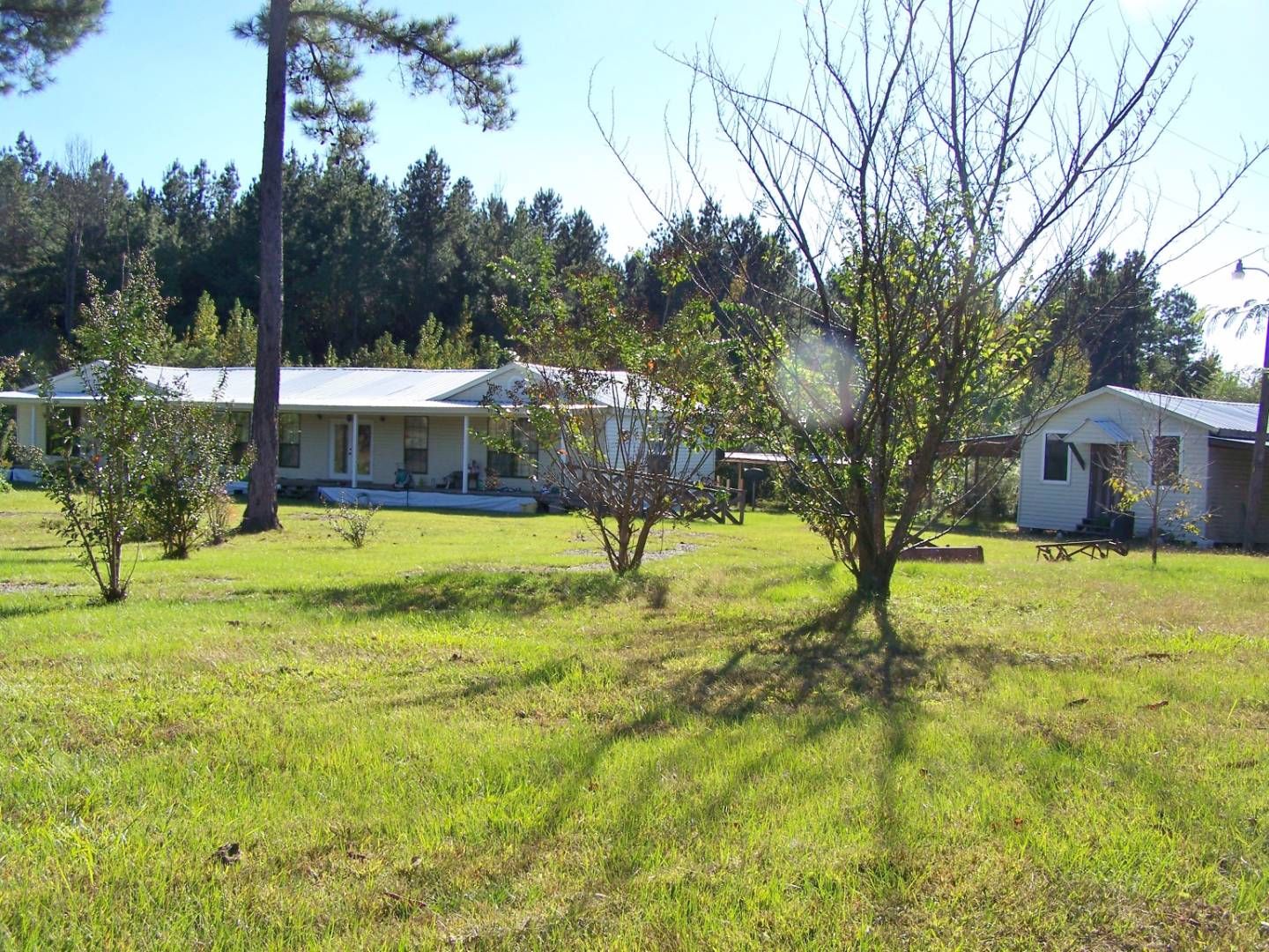 5 acres in Choctaw County, Alabama