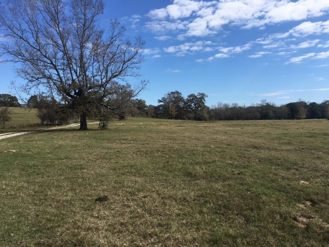 37 acres in Leon County, Texas