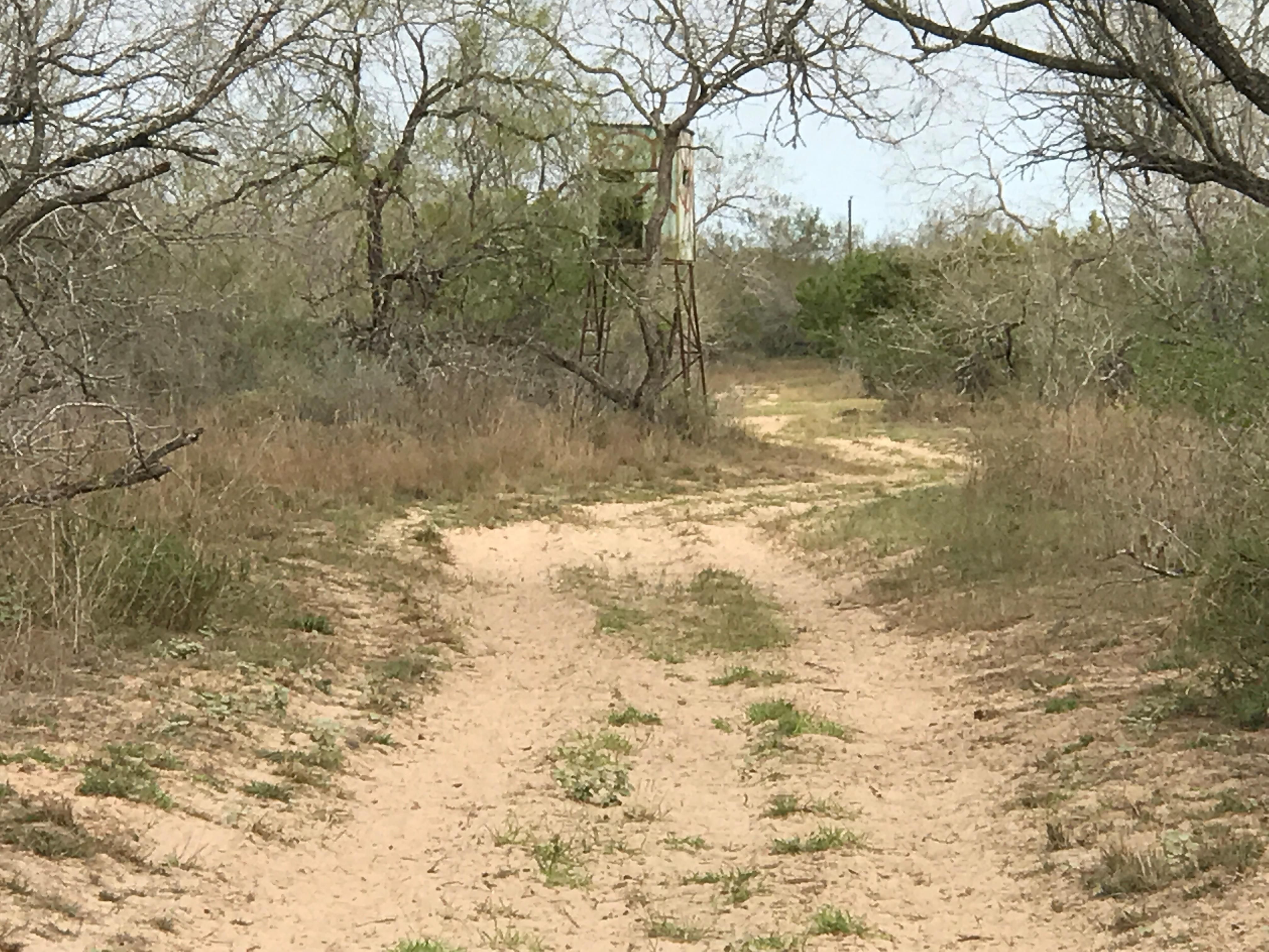 353 acres in Hidalgo County, Texas