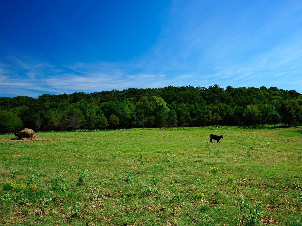 520 acres in Pittsburg County, Oklahoma