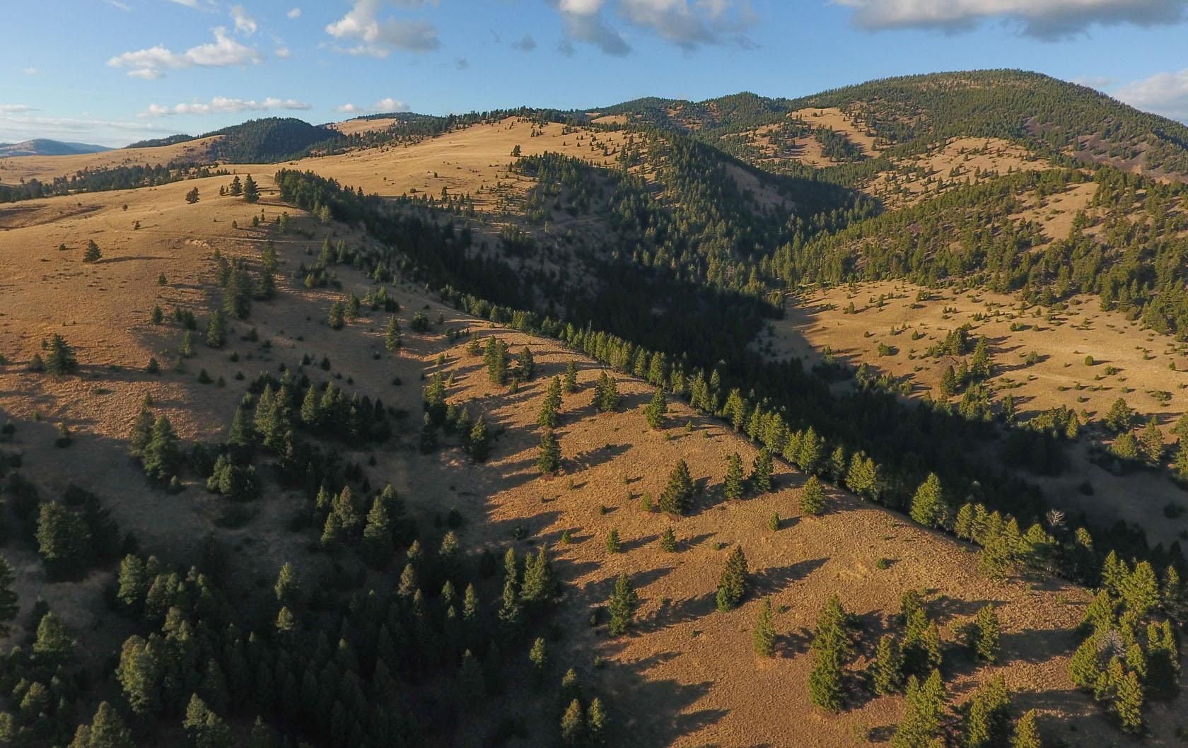 2,930 acres in Powell County, Montana
