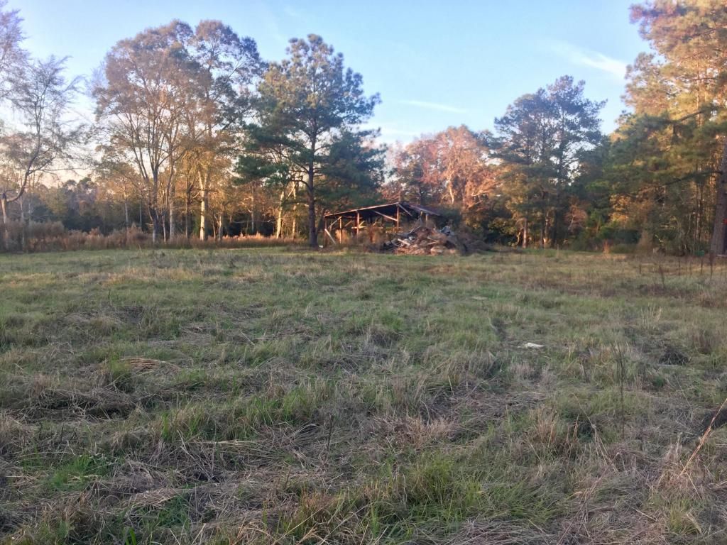 50 acres in Jefferson Davis County, Mississippi