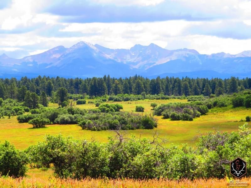 1120.00 acres in Montezuma County, Colorado