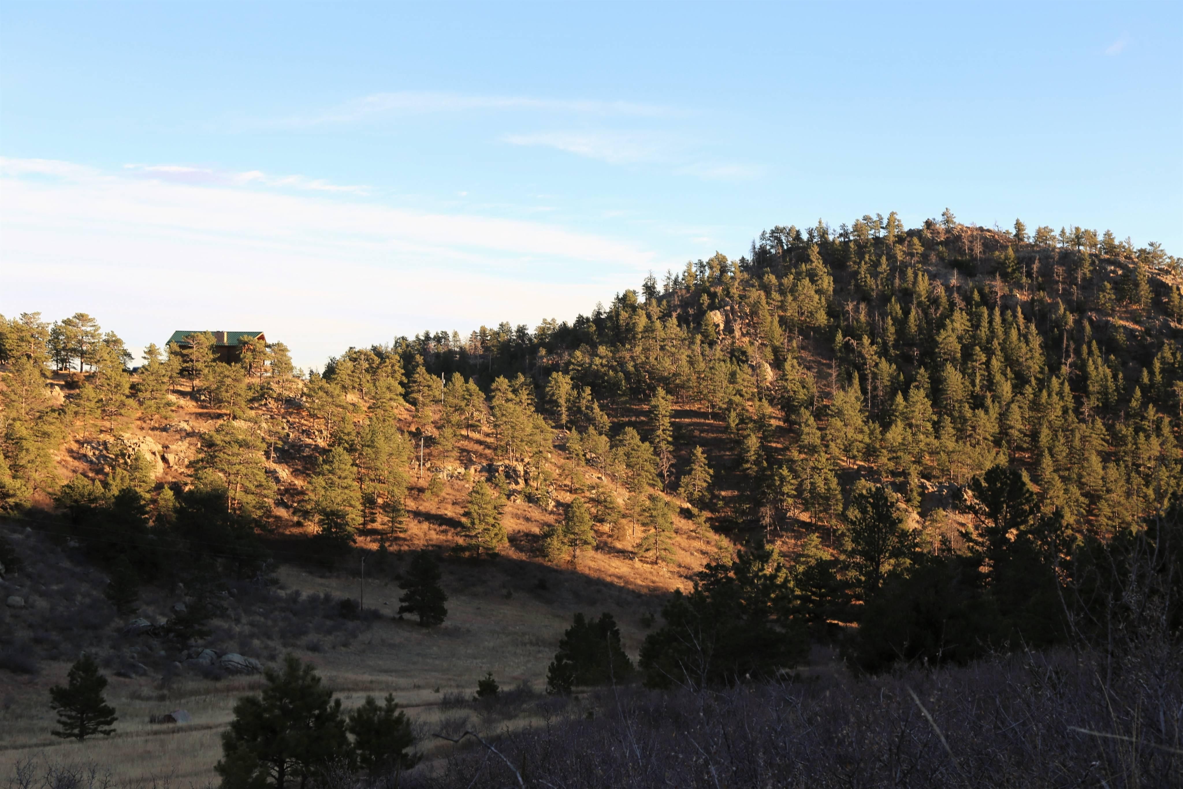 40 acres in Larimer County, Colorado