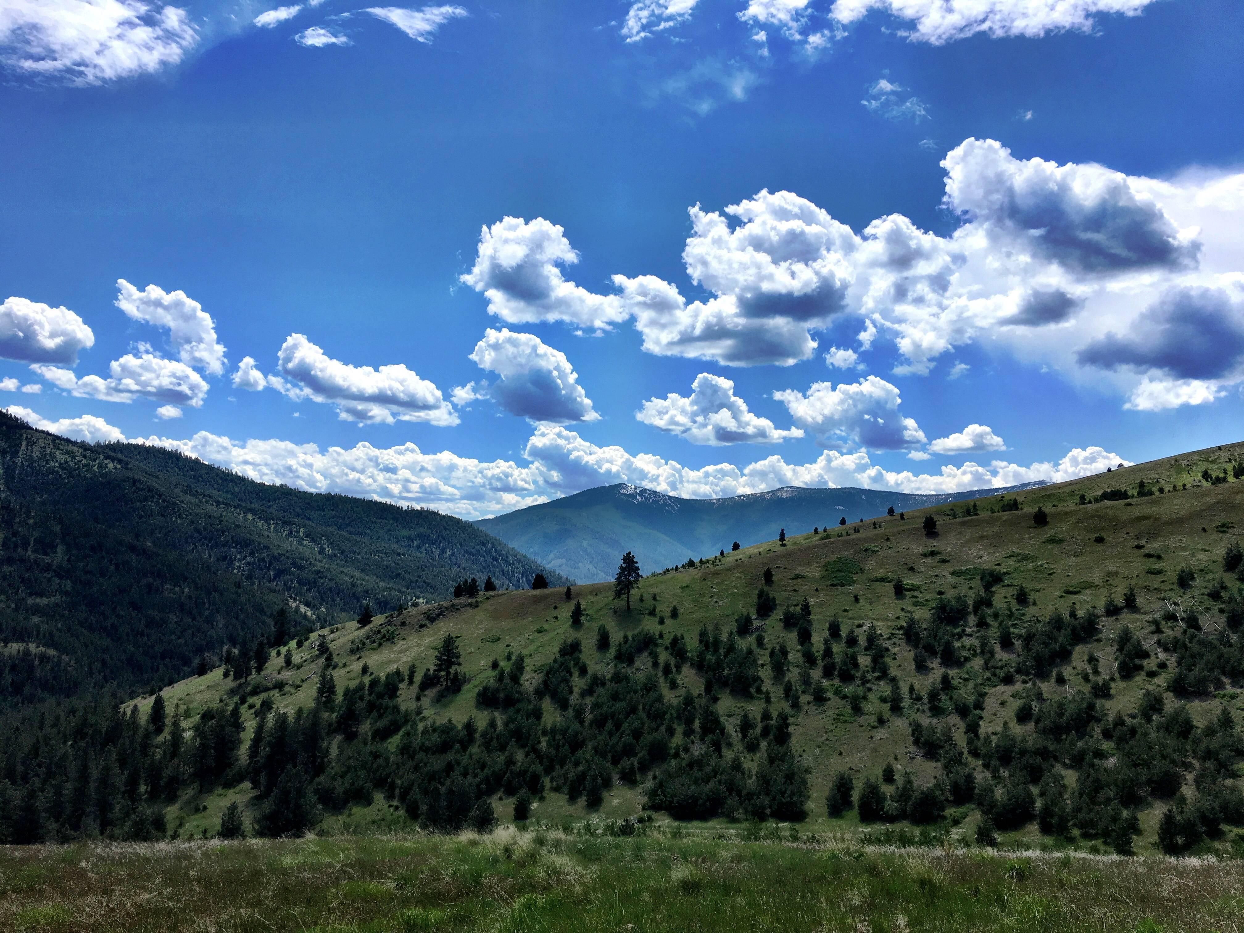 80 acres in Sanders County, Montana