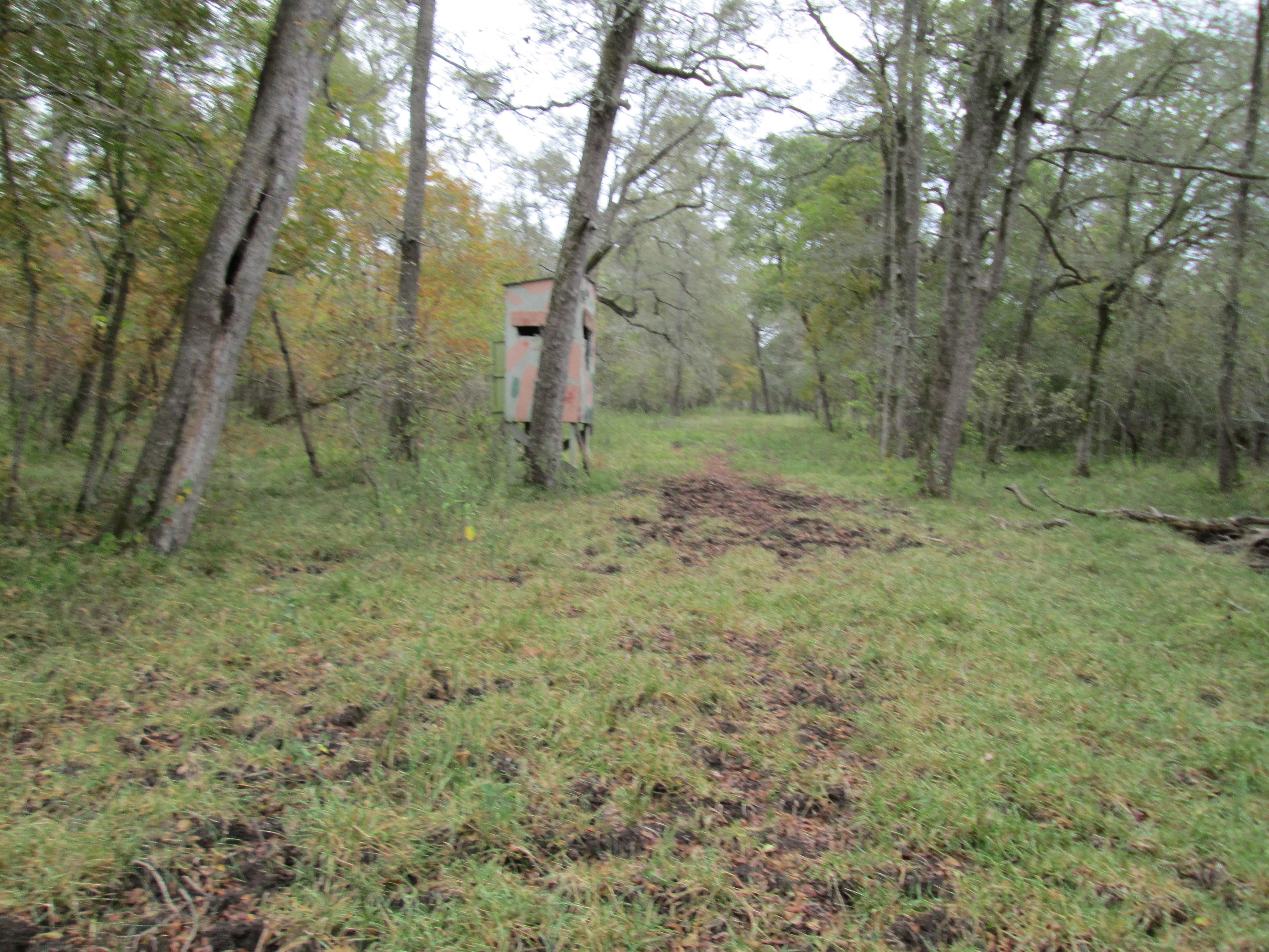 441.31 acres in Wharton County, Texas